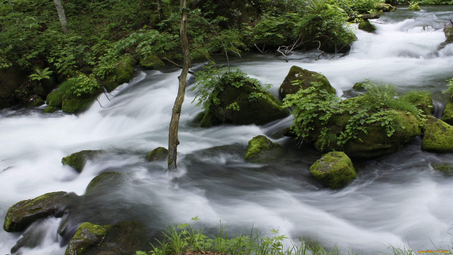 природа, реки, озера, камни, трава, вода