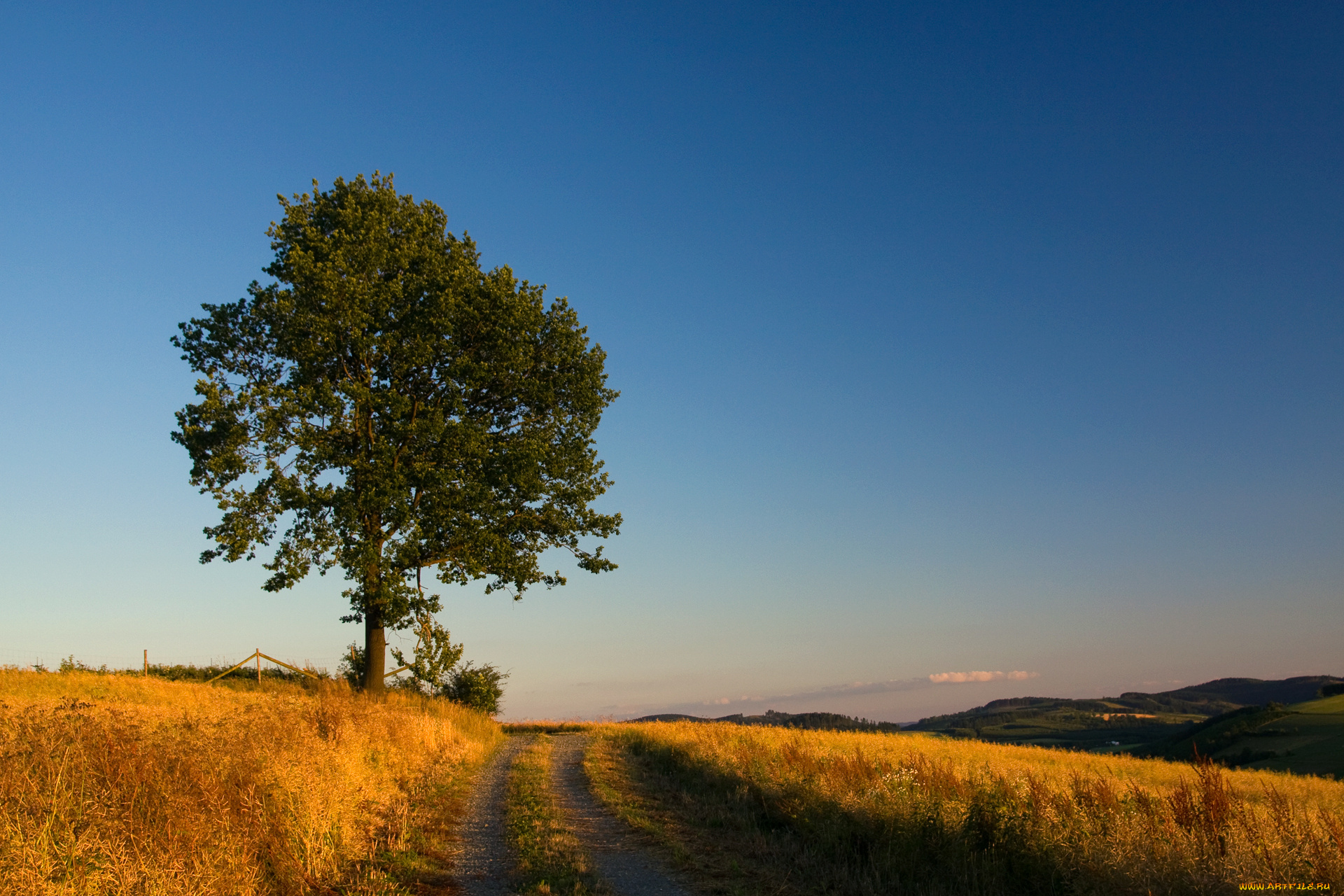 природа, дороги