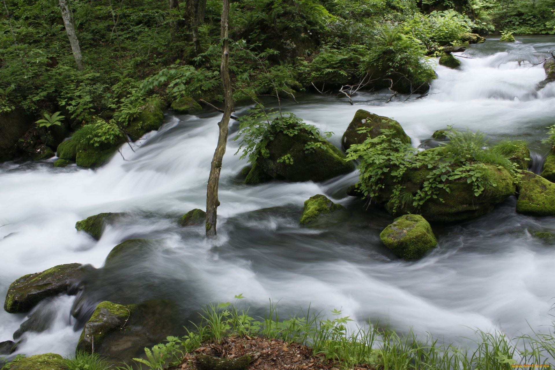 природа, реки, озера, камни, трава, вода