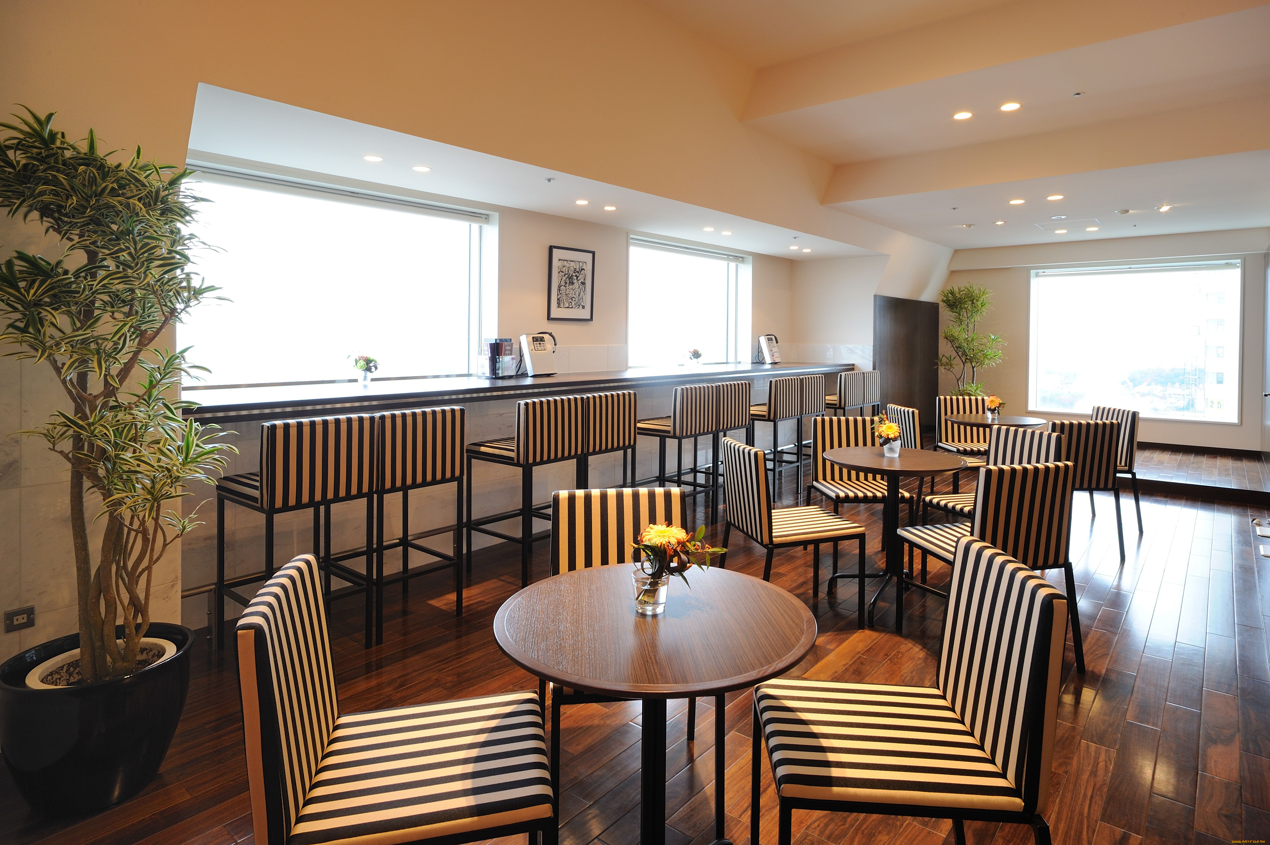 интерьер, кафе, рестораны, отели, отель