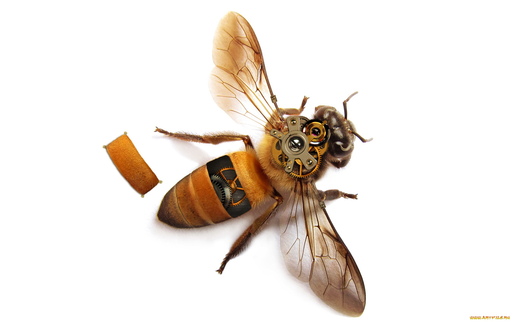разное, компьютерный, дизайн, механизм, пчела