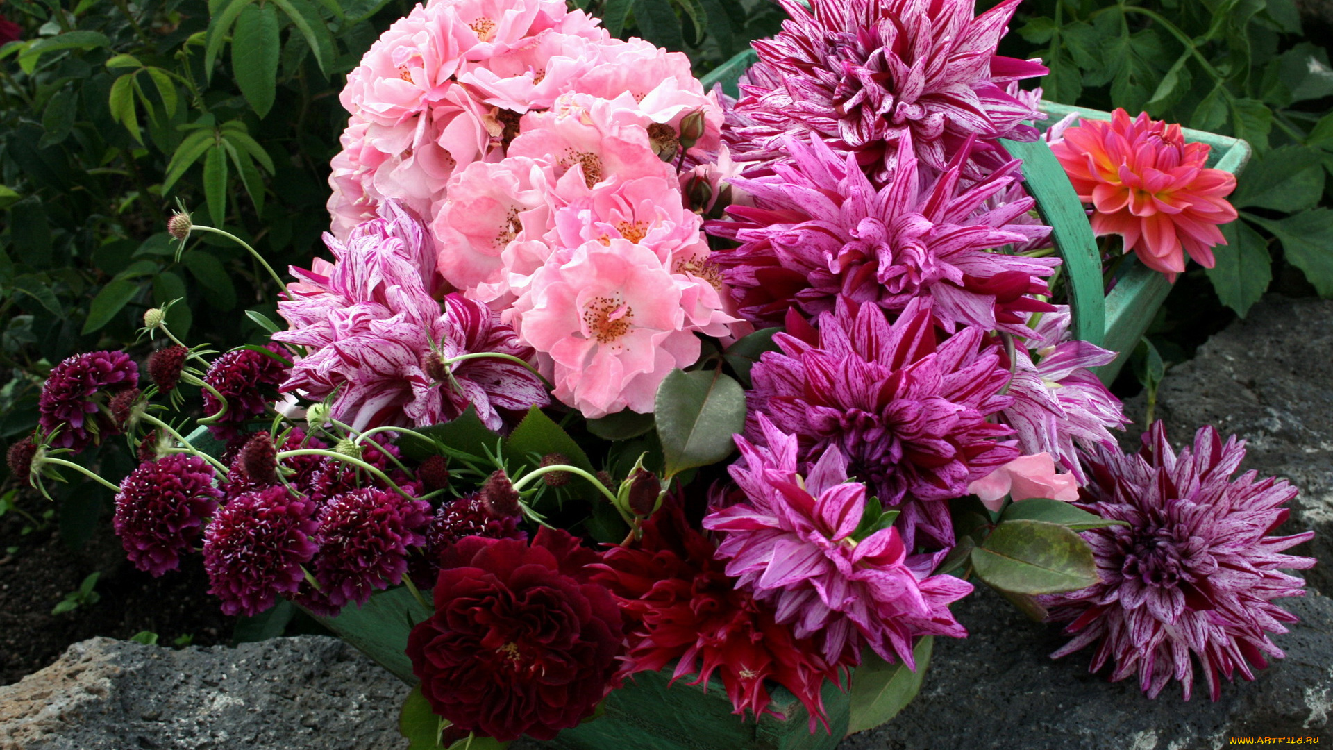 цветы, разные, вместе, корзина, букет, георгины