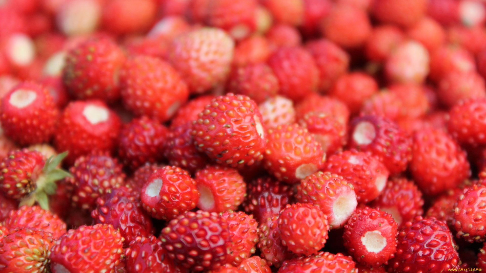 еда, клубника, земляника, ягоды