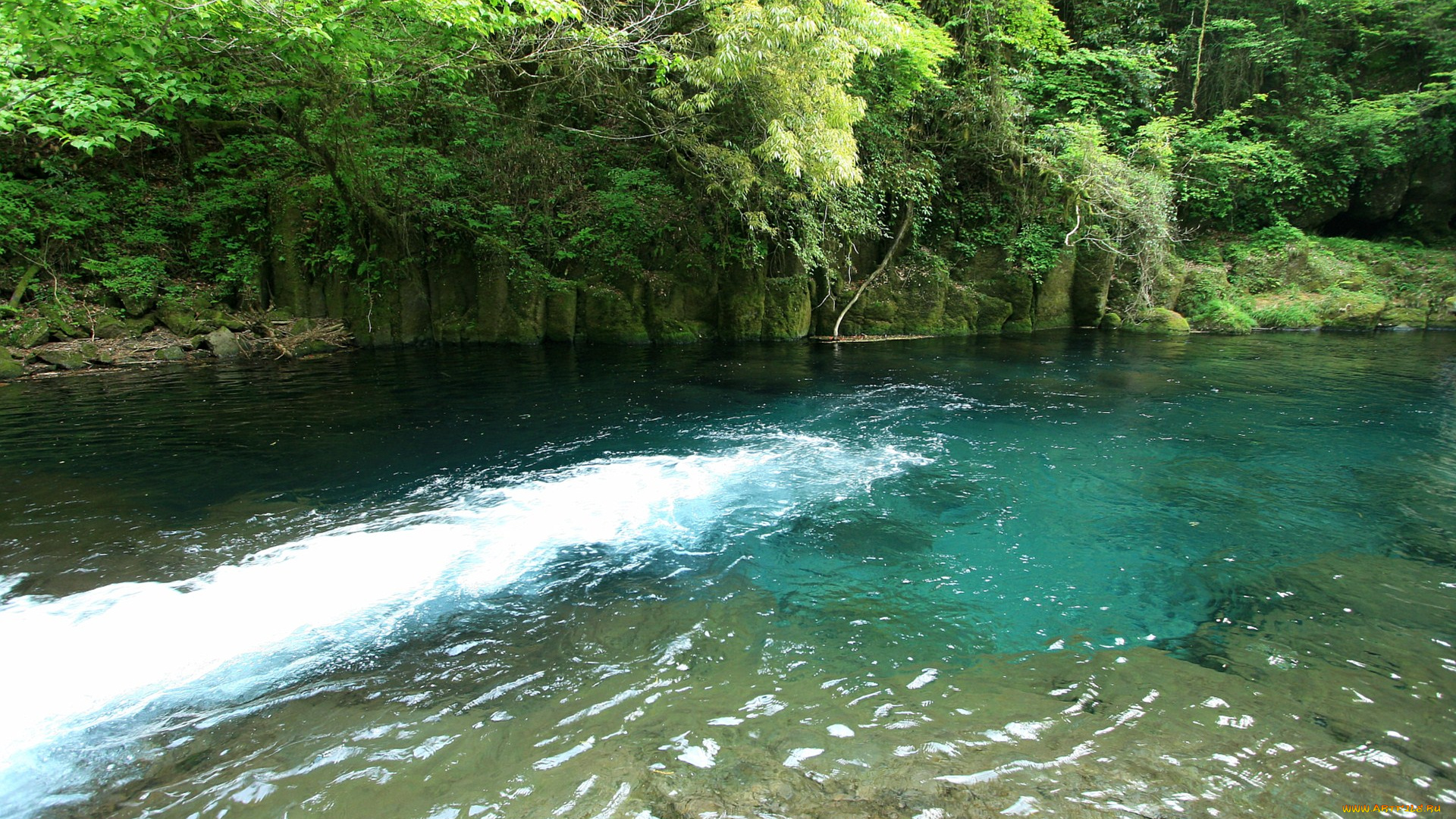 природа, реки, озера, деревья, река