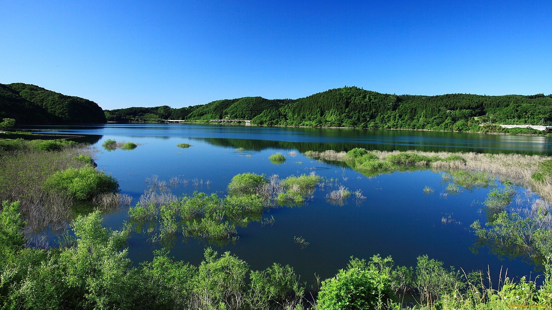 природа, реки, озера, река, небо