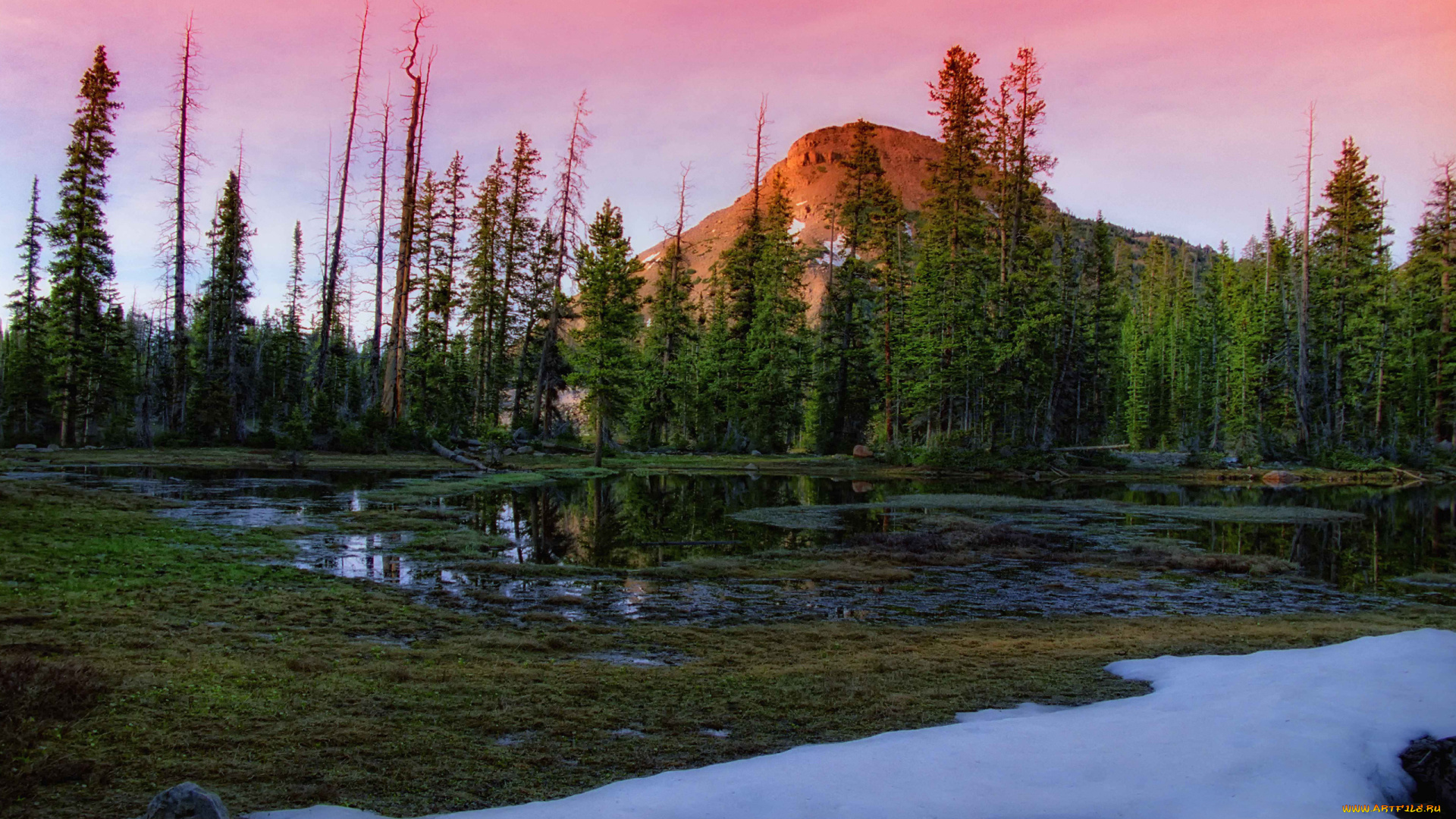 природа, реки, озера, снег, лес, гора, болотце