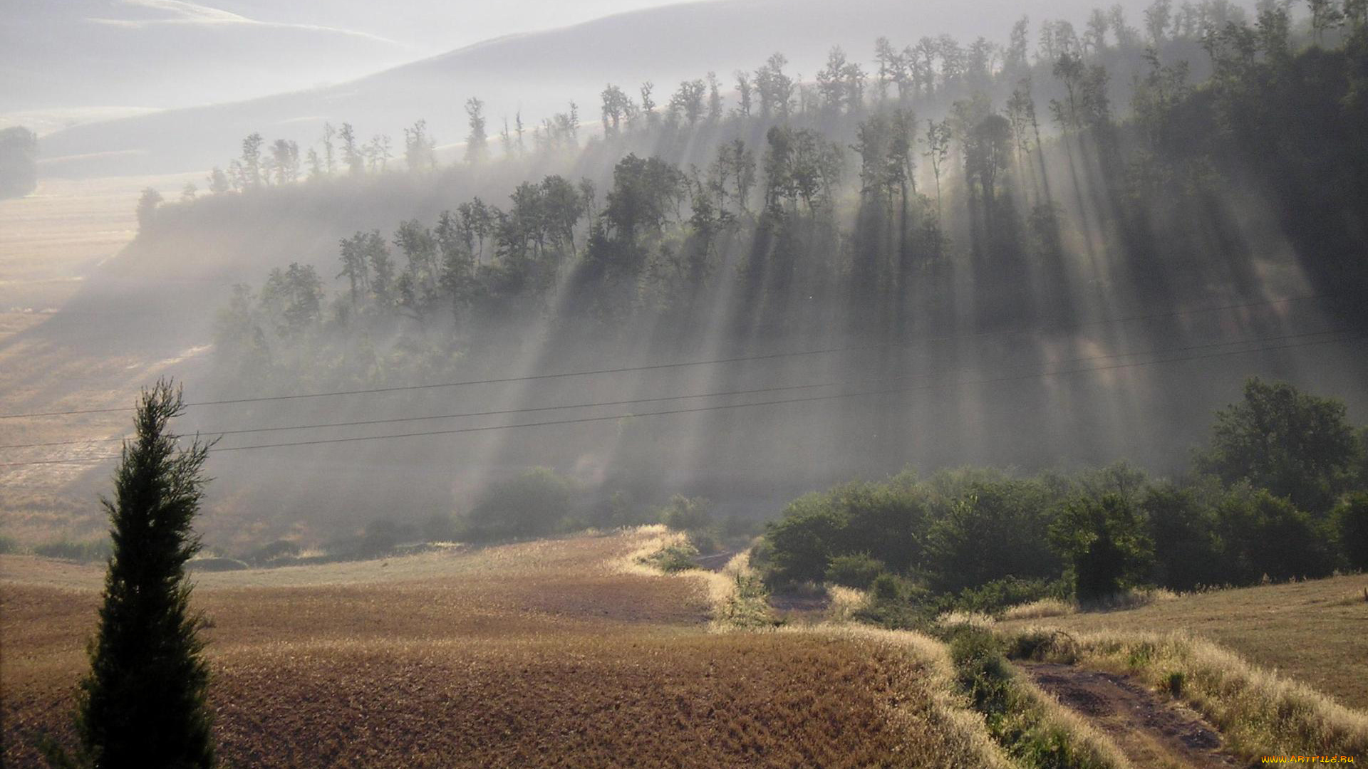 природа, восходы, закаты, утро, туман, поле, дорога, свет