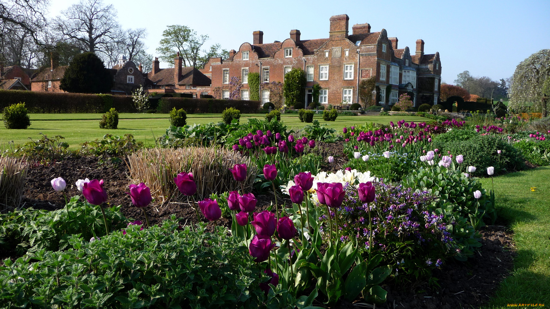 великобритания, кент, города, здания, дома, цветник, сад, дом