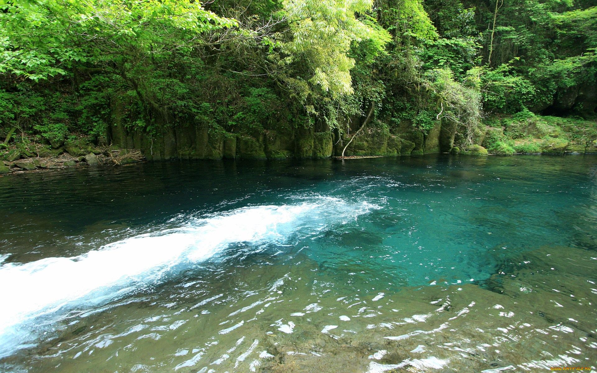 природа, реки, озера, деревья, река
