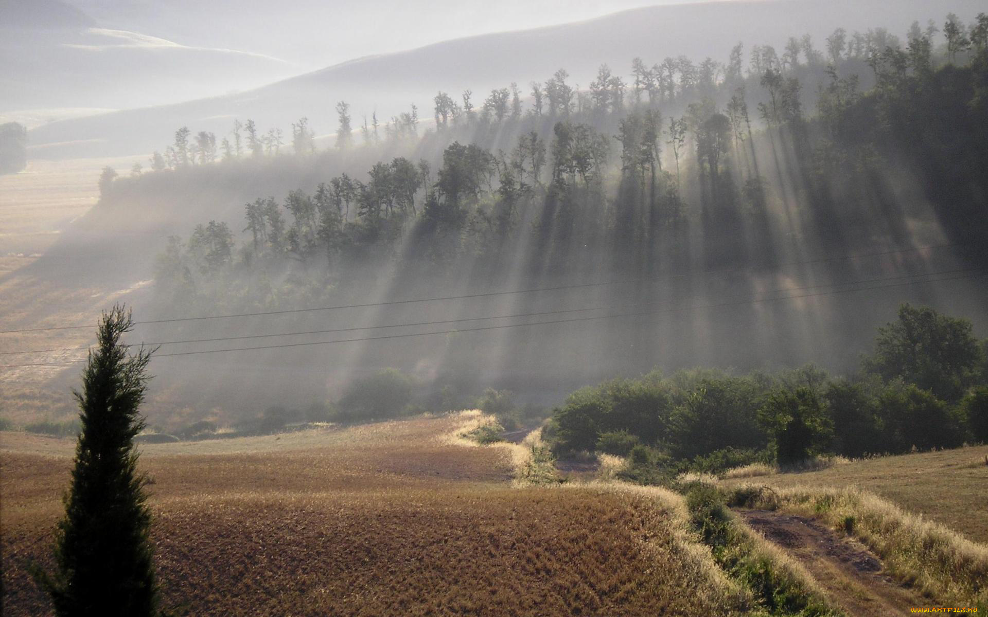 природа, восходы, закаты, утро, туман, поле, дорога, свет