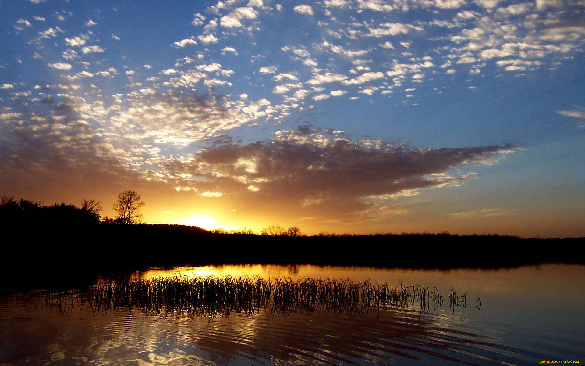 природа, восходы, закаты, заводь, река, сумерки, закат