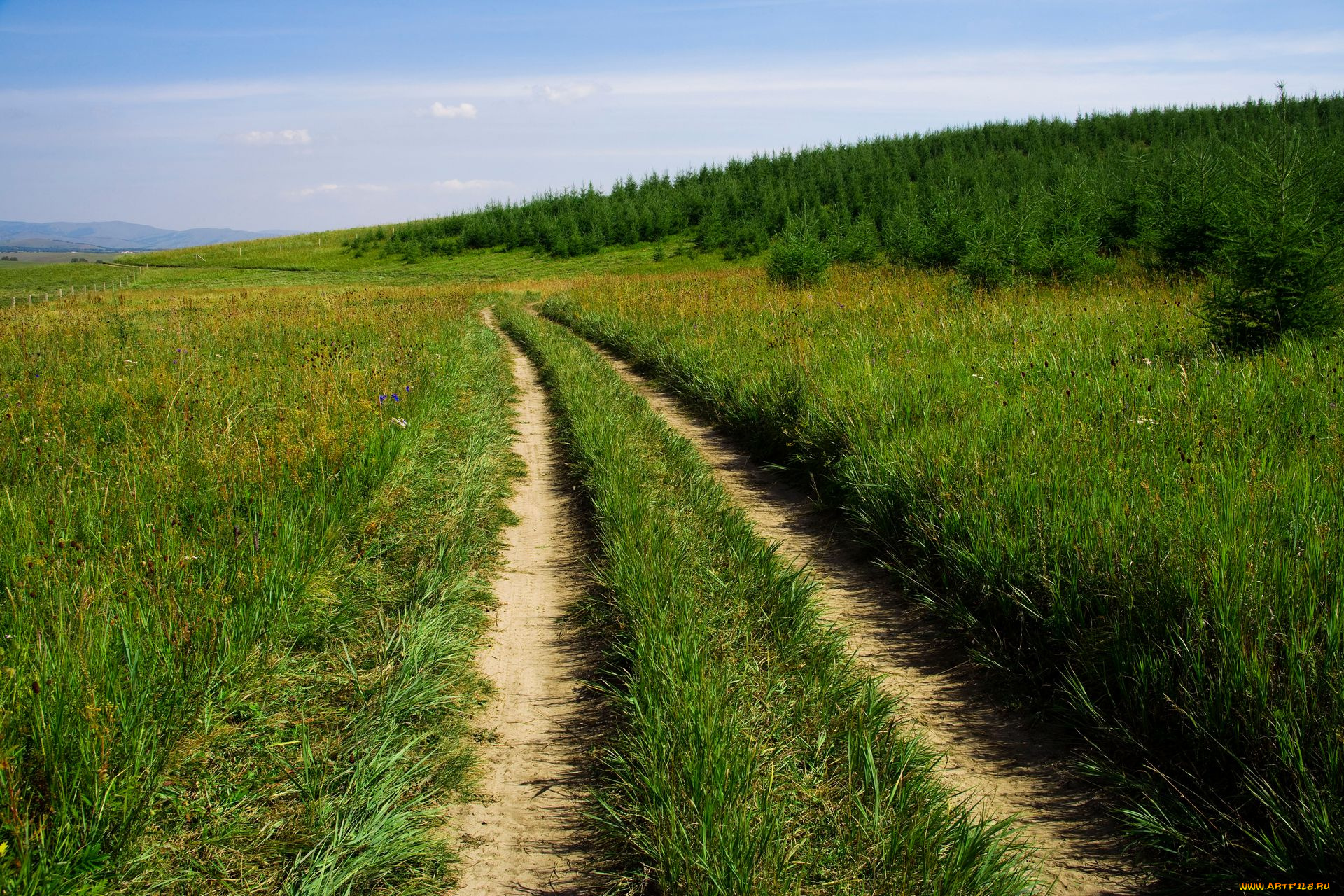 природа, дороги, облака, поле