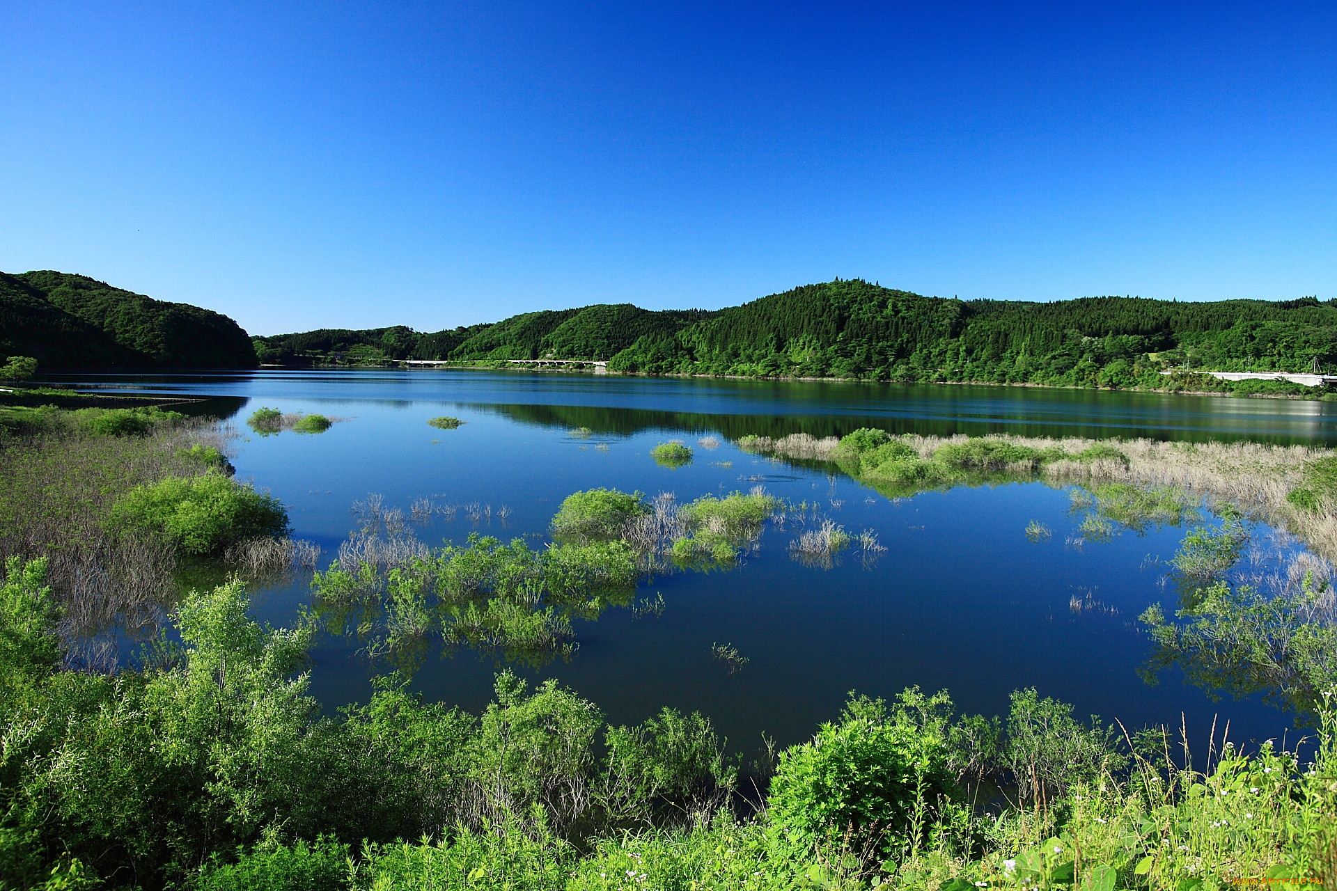 природа, реки, озера, река, небо
