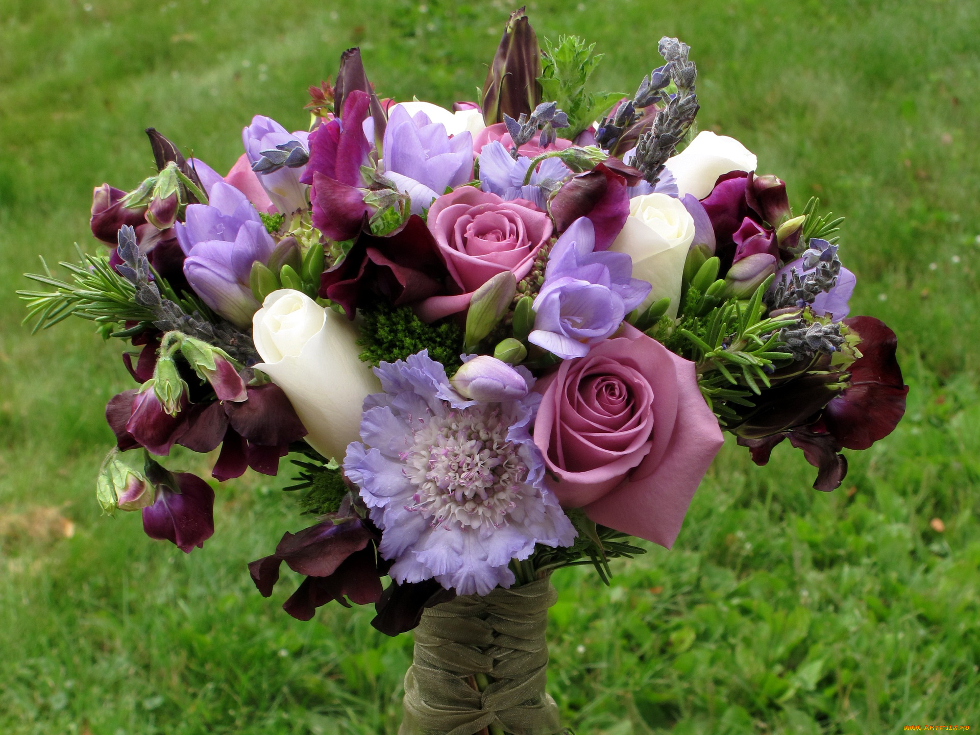 цветы, букеты, композиции, букет