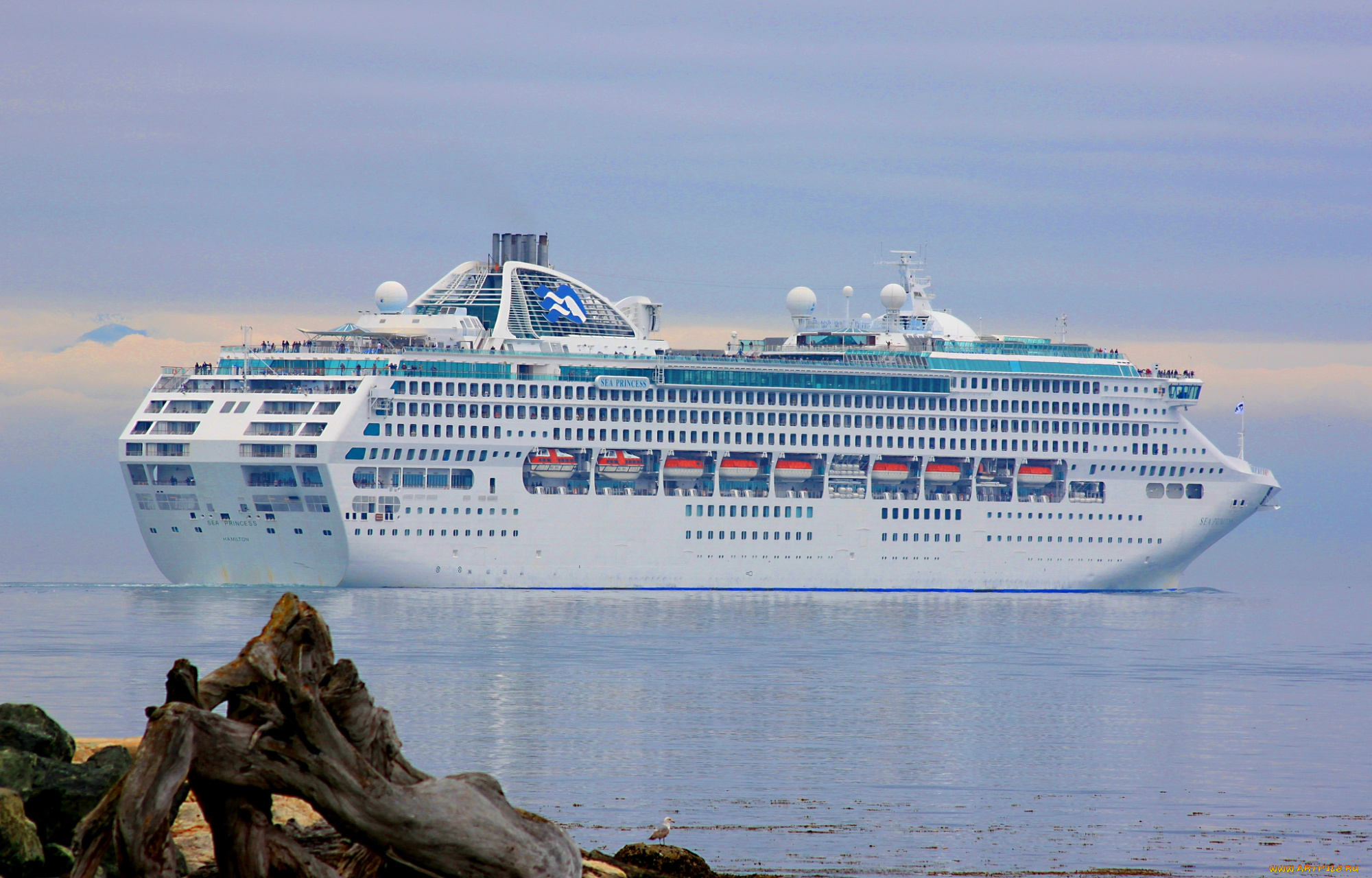 корабли, лайнеры, вода, дымка, круиз