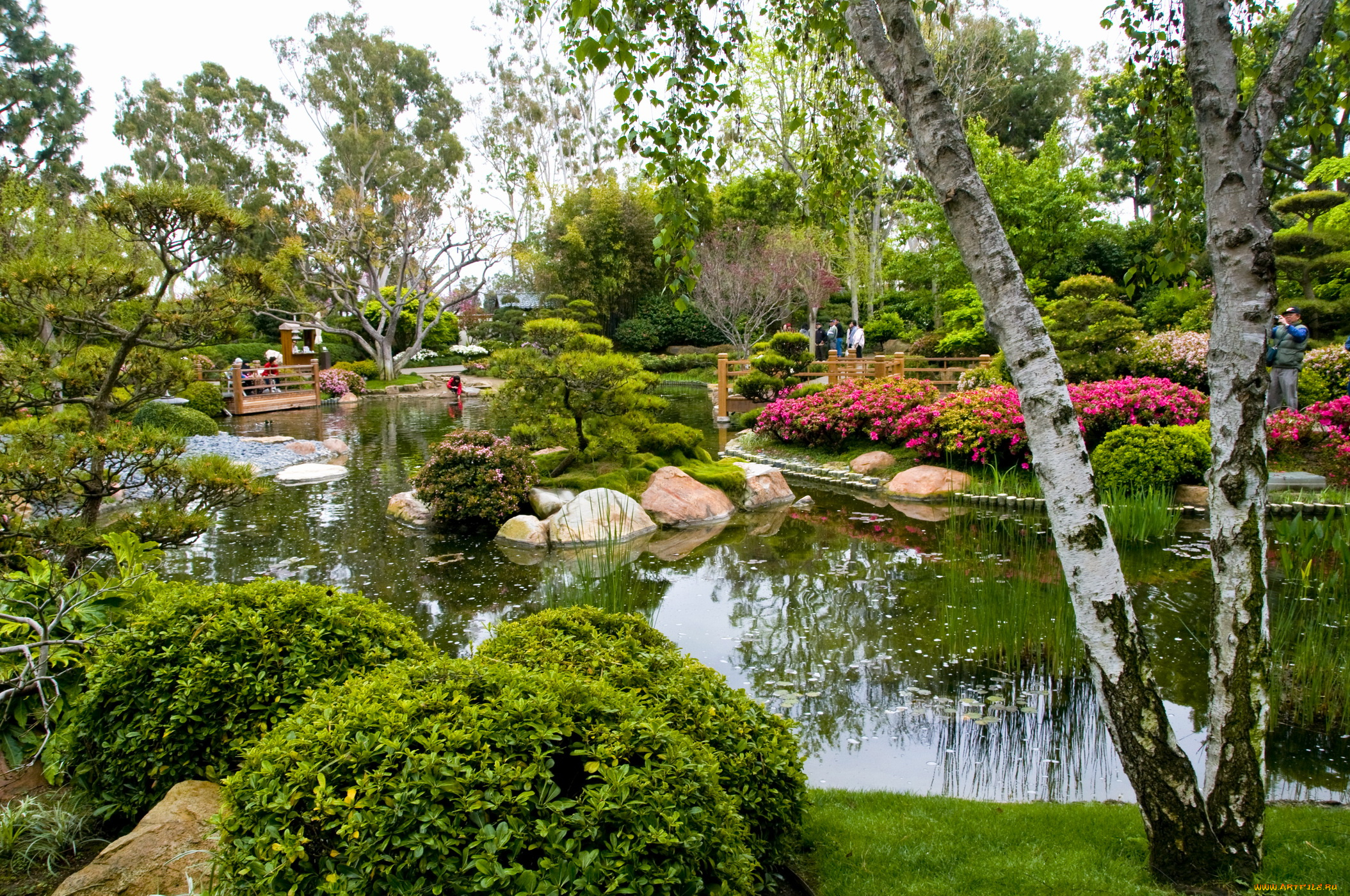 miller, japanese, garden, природа, парк, сша, калифорния