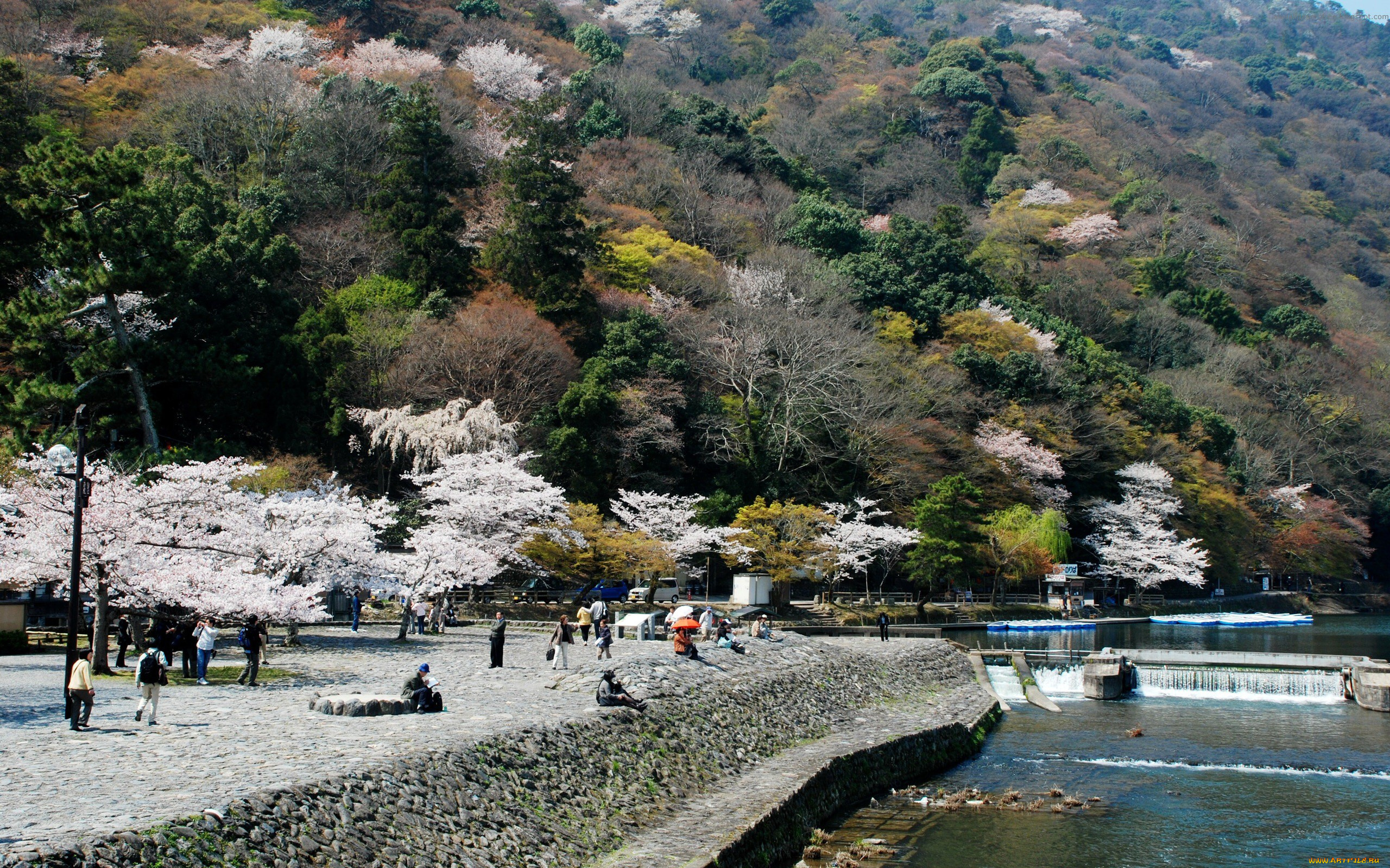 природа, побережье, отдых, речка, горы