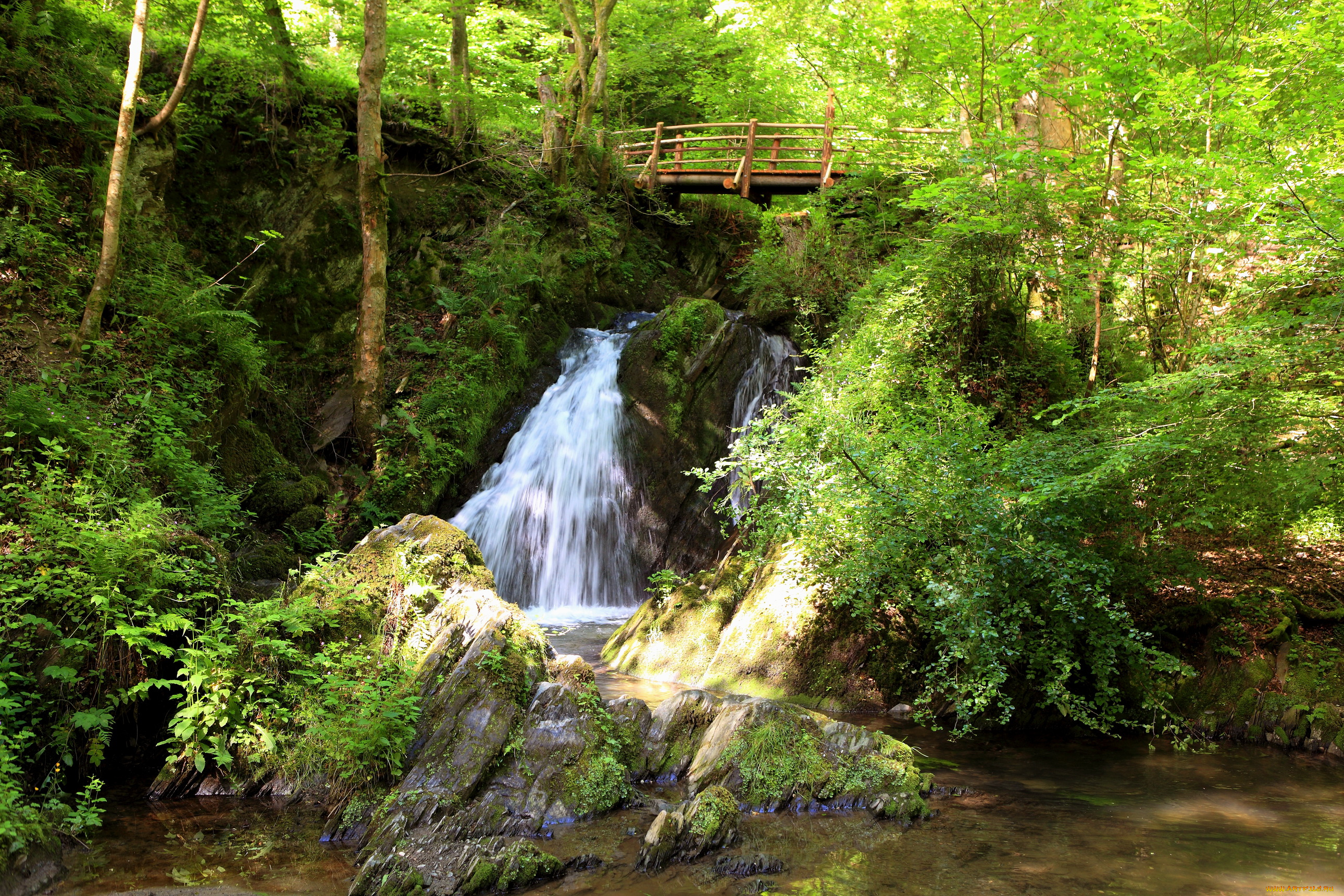 германия, бюхель, природа, водопады, 