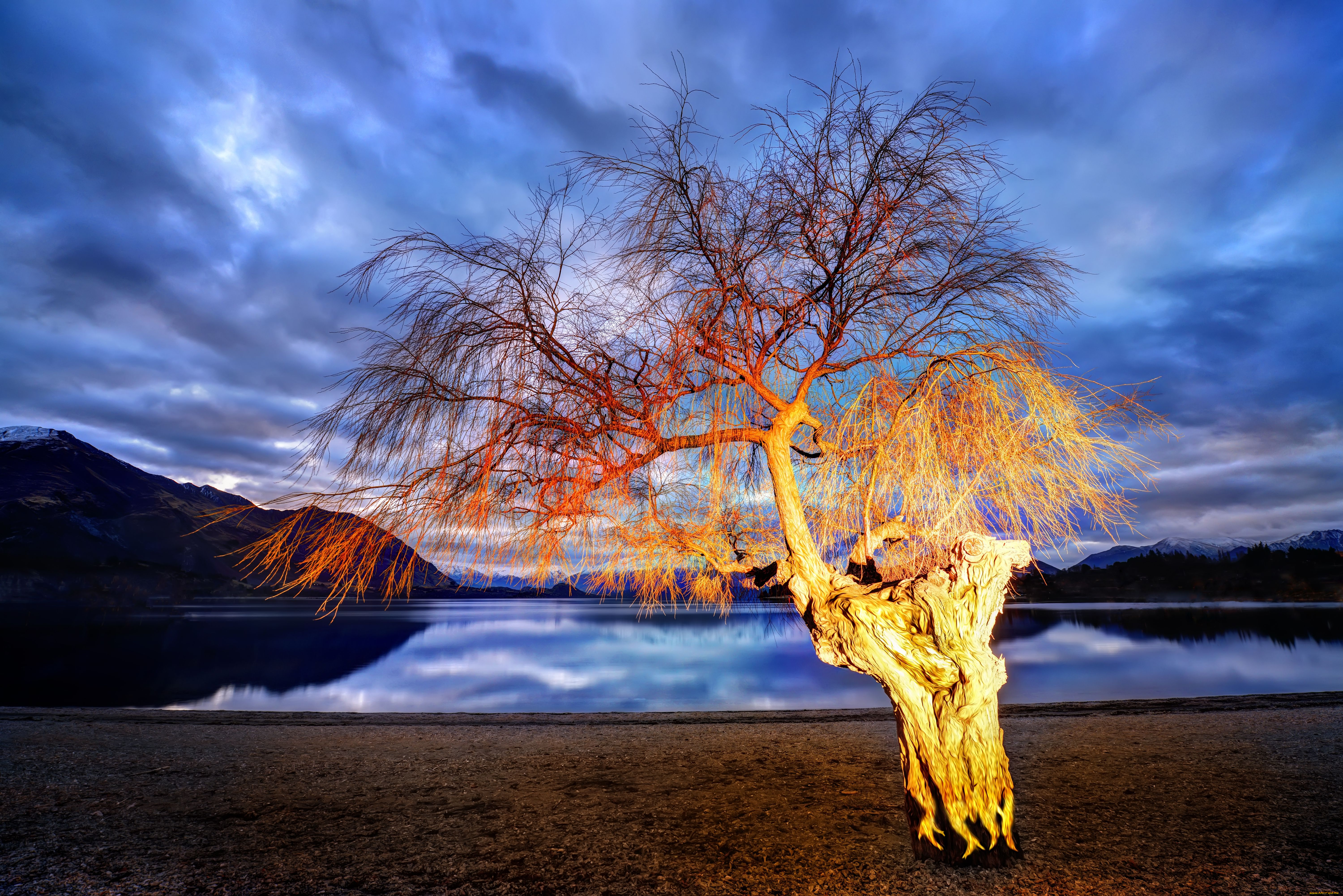 природа, деревья, новая, зеландия, lake, wanaka, new, zealand, озеро, дерево, горы