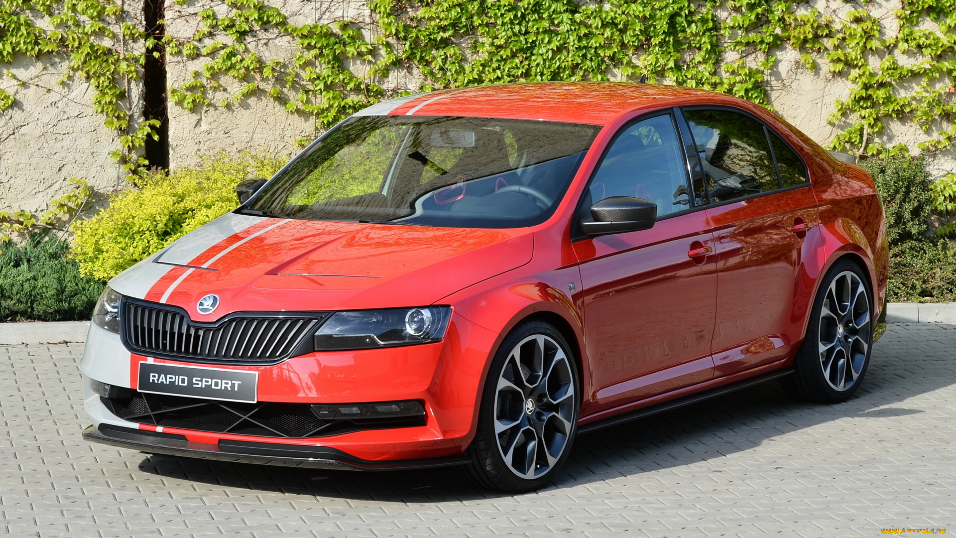 2013, skoda, rapid, sport, автомобили
