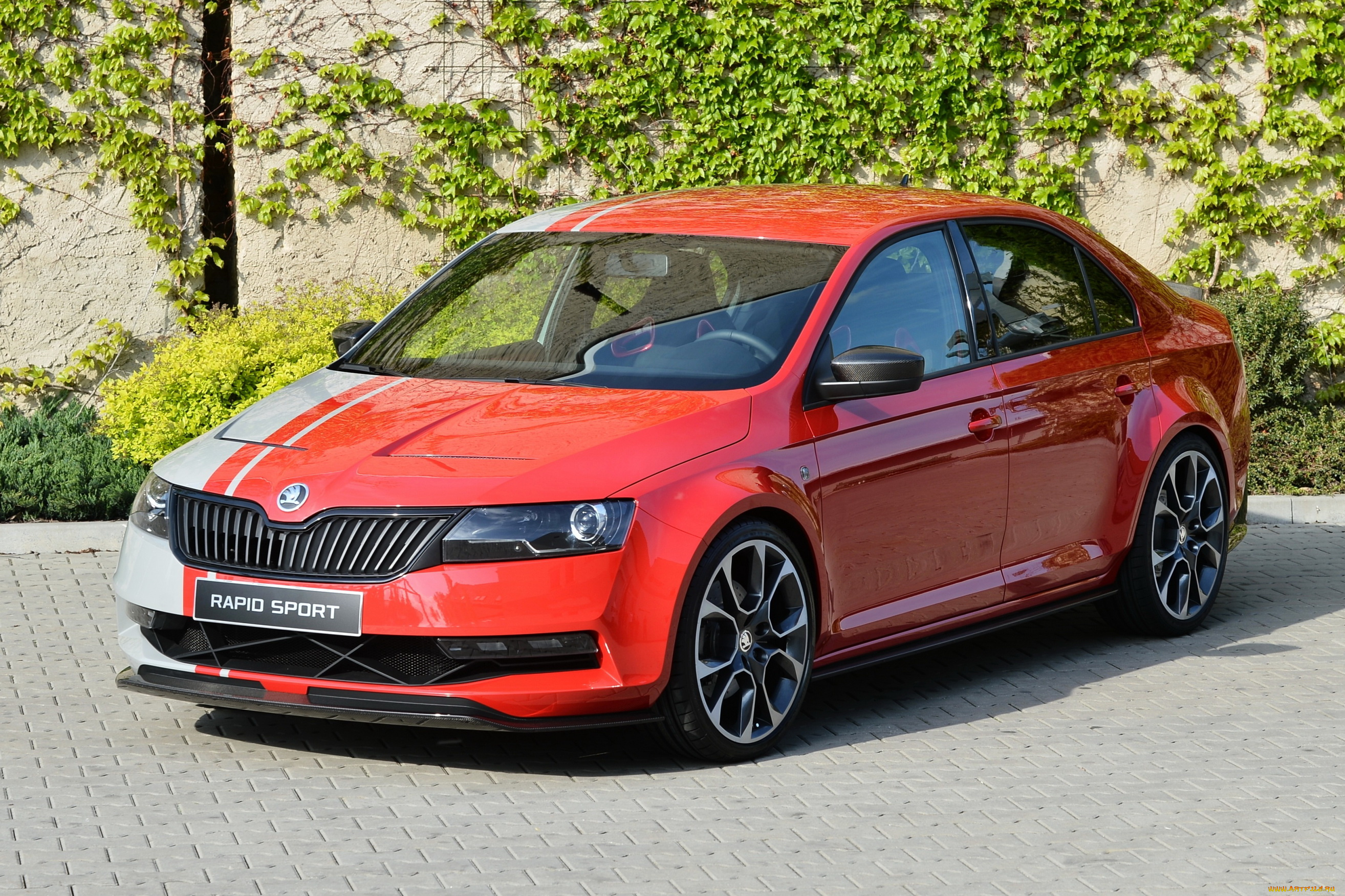 2013, skoda, rapid, sport, автомобили