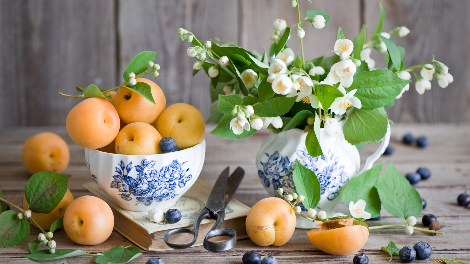 еда, фрукты, , ягоды, черника, абрикосы, ягоды, натюрморт, книга, ножницы, жасмин