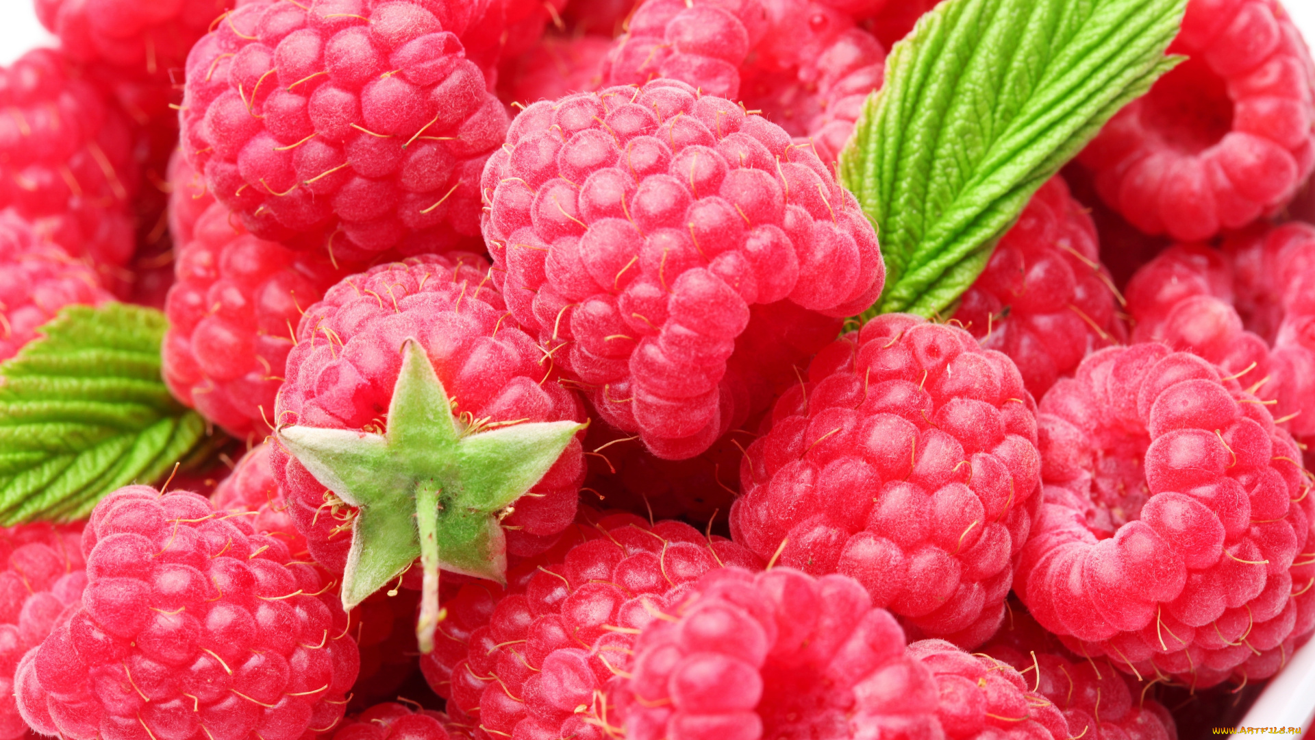 еда, малина, ягоды