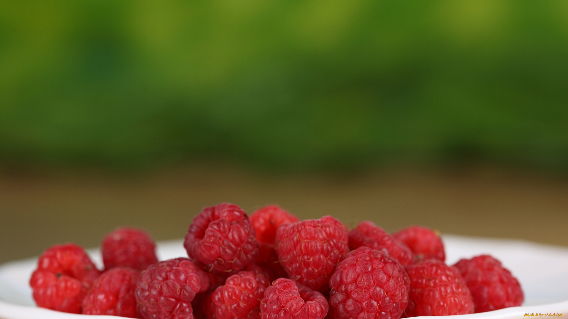 еда, малина, ягоды