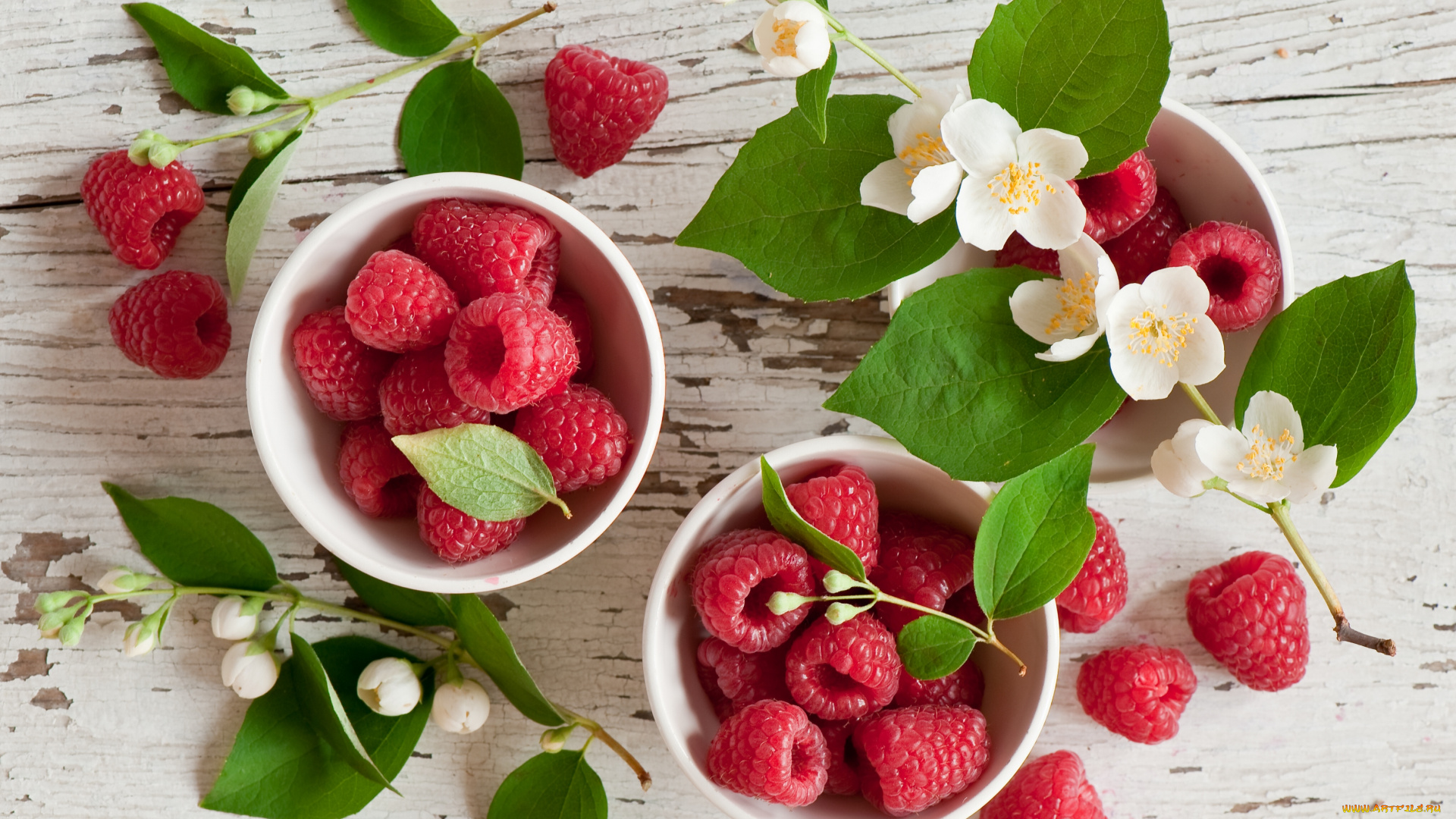 еда, малина, ягоды, жасмин