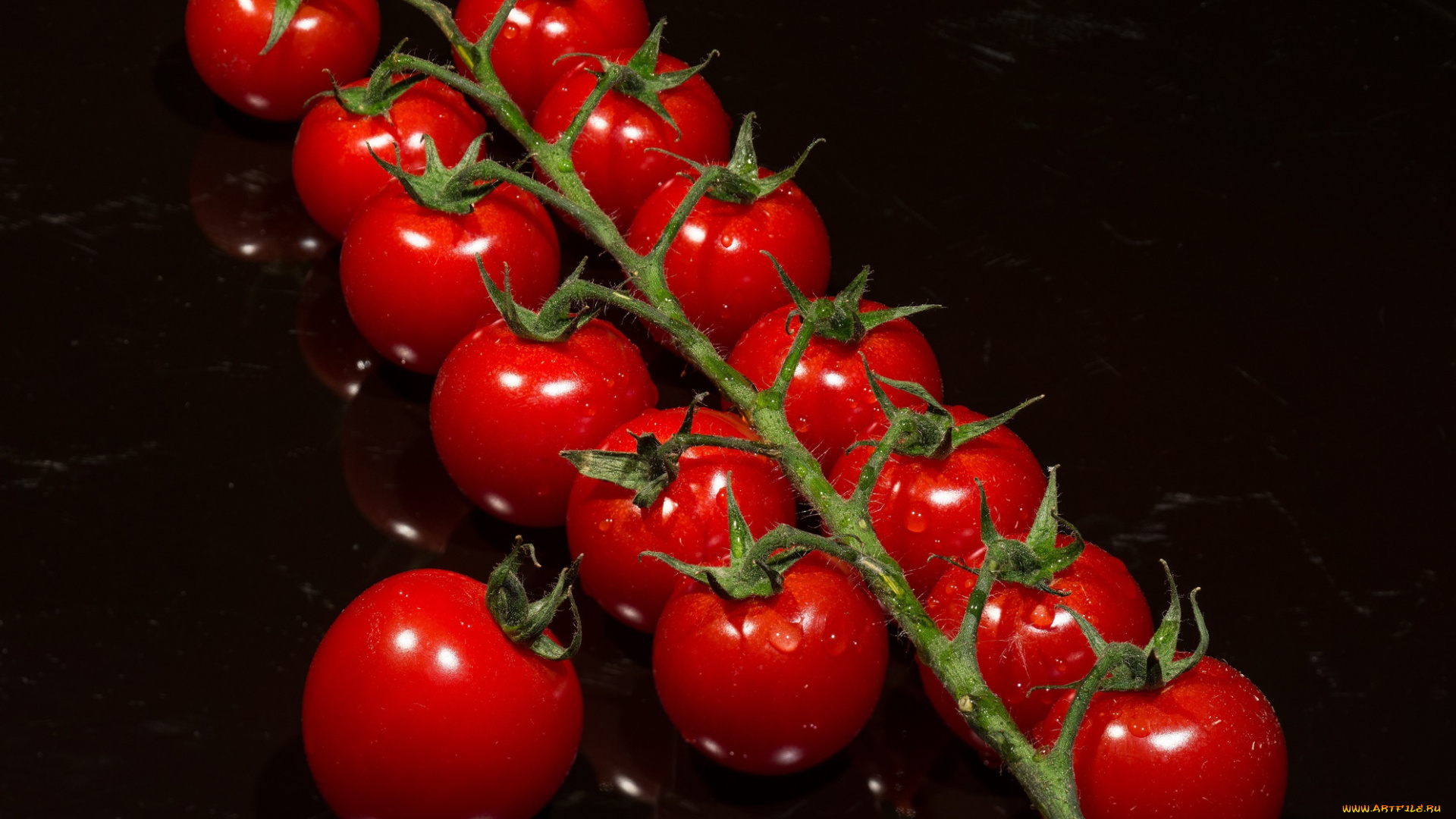 еда, помидоры, ветка, томаты