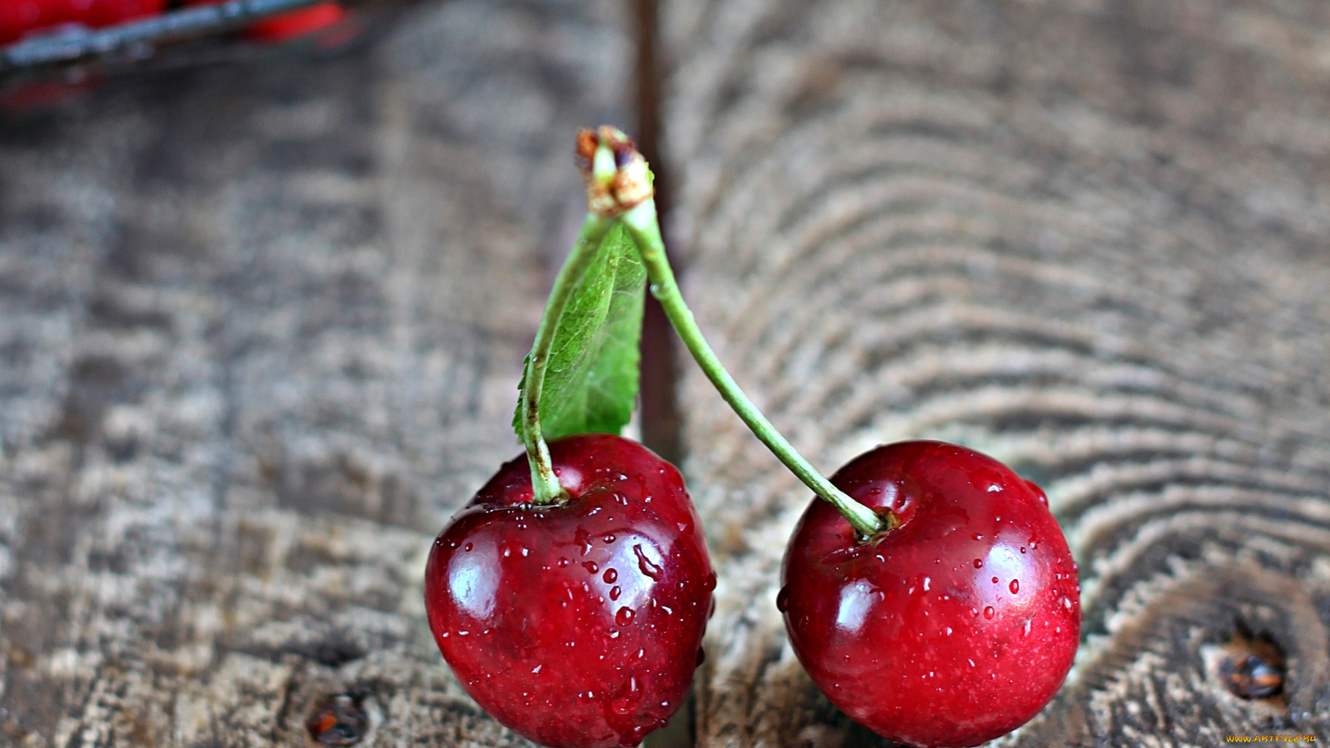 еда, вишня, , черешня