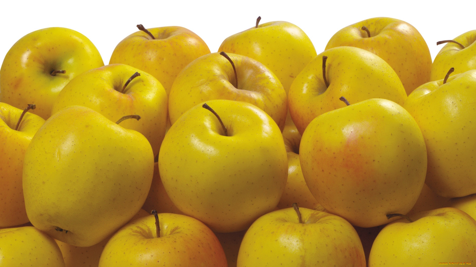 еда, Яблоки, желтые