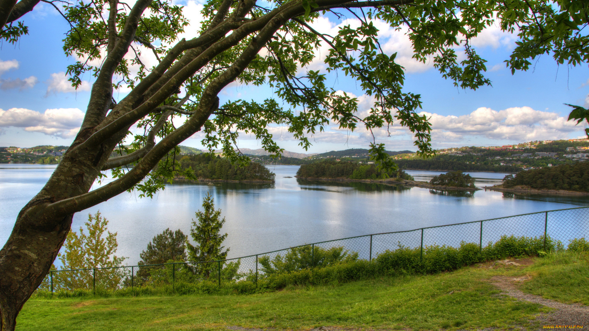 норвегия, берген, природа, реки, озера, bergen, река, берген, норвегия, деревья, лето