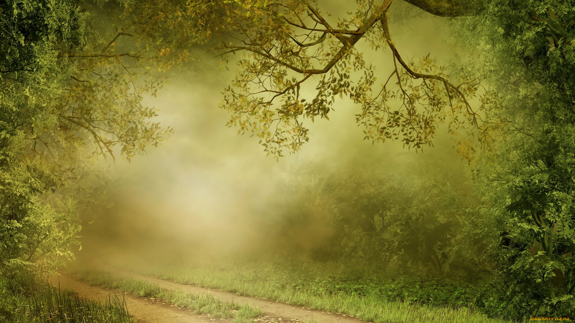 природа, лес, тропинка, туман