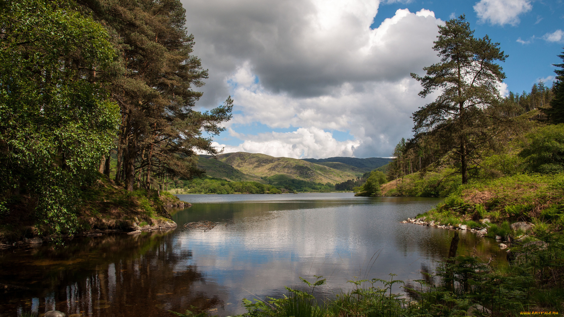 природа, реки, озера, холмы, лес, река