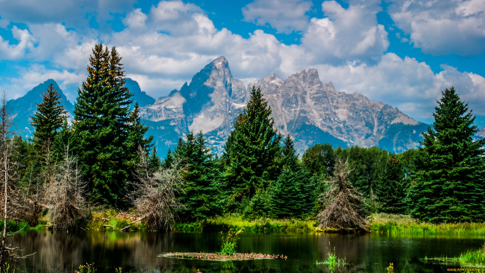 природа, реки, озера, лес, горы, река