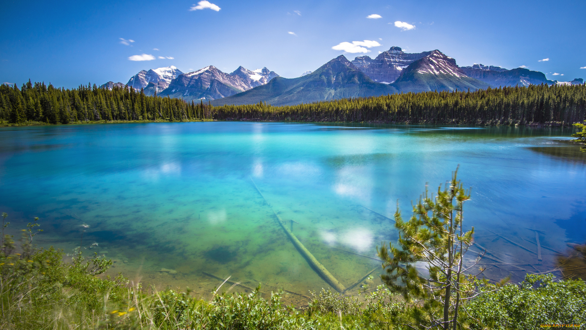 природа, реки, озера, лес, озеро, прозрачность, горы