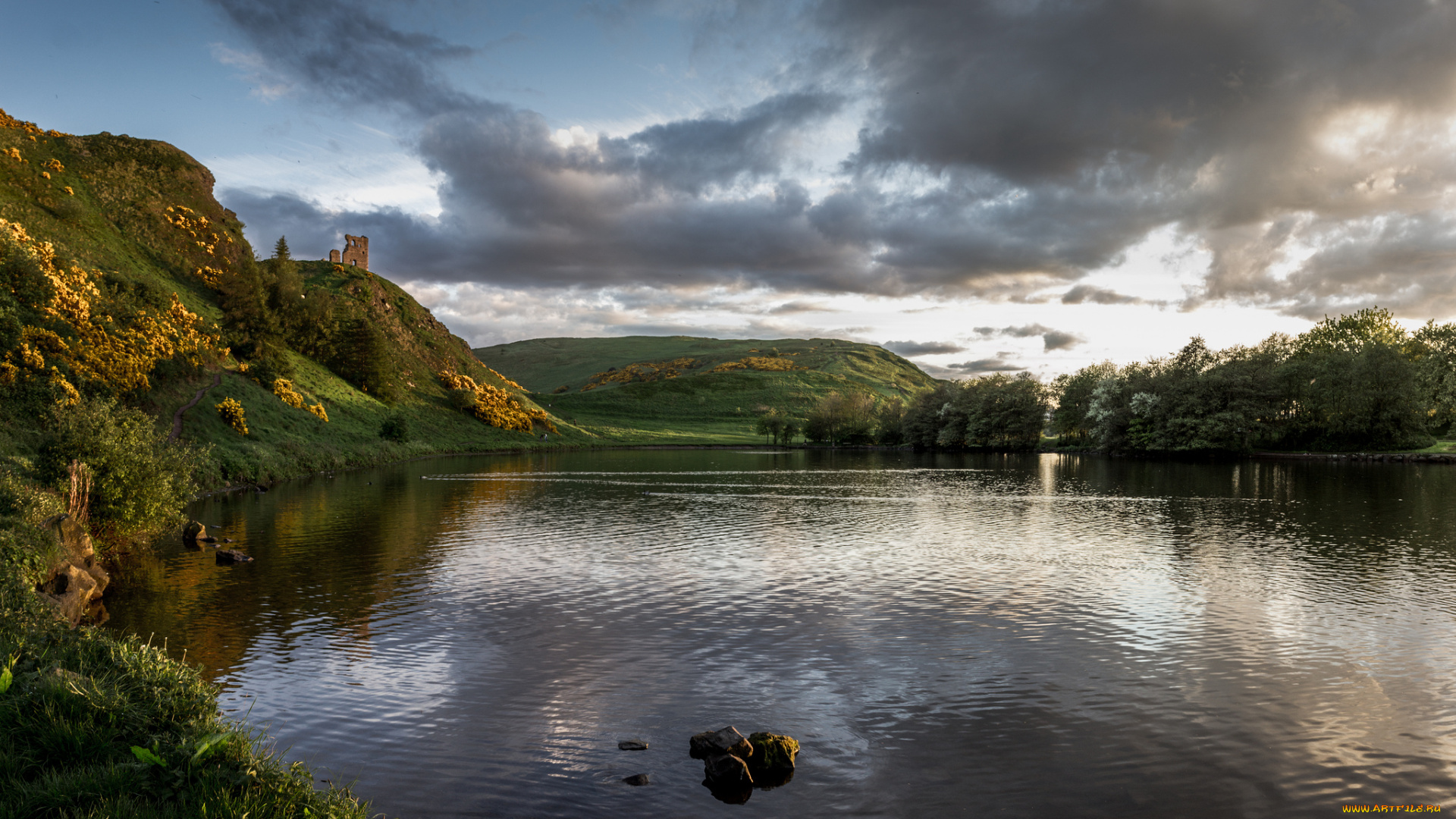 природа, реки, озера, река, холмы, лес