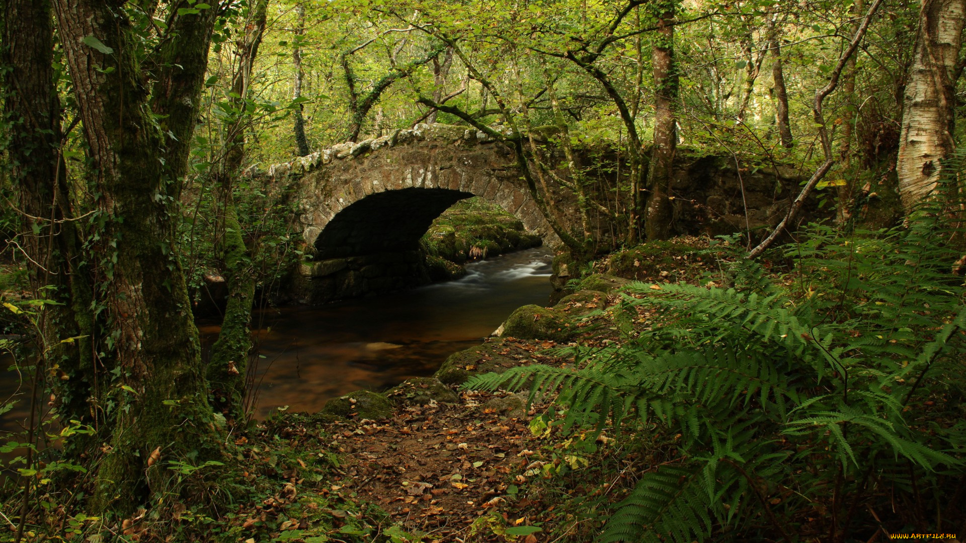 природа, реки, озера, река, лес, мост, арка