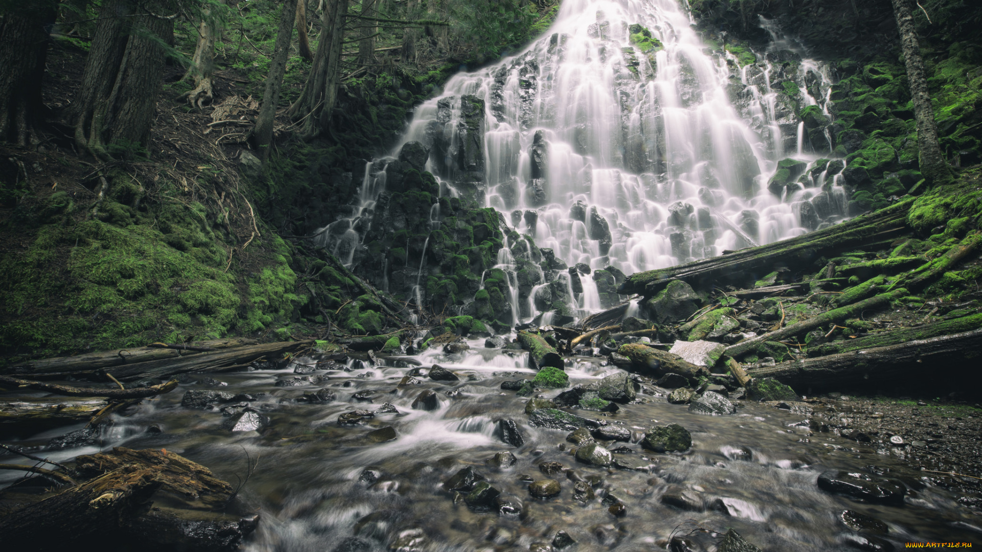 природа, водопады, река, водопад, лес