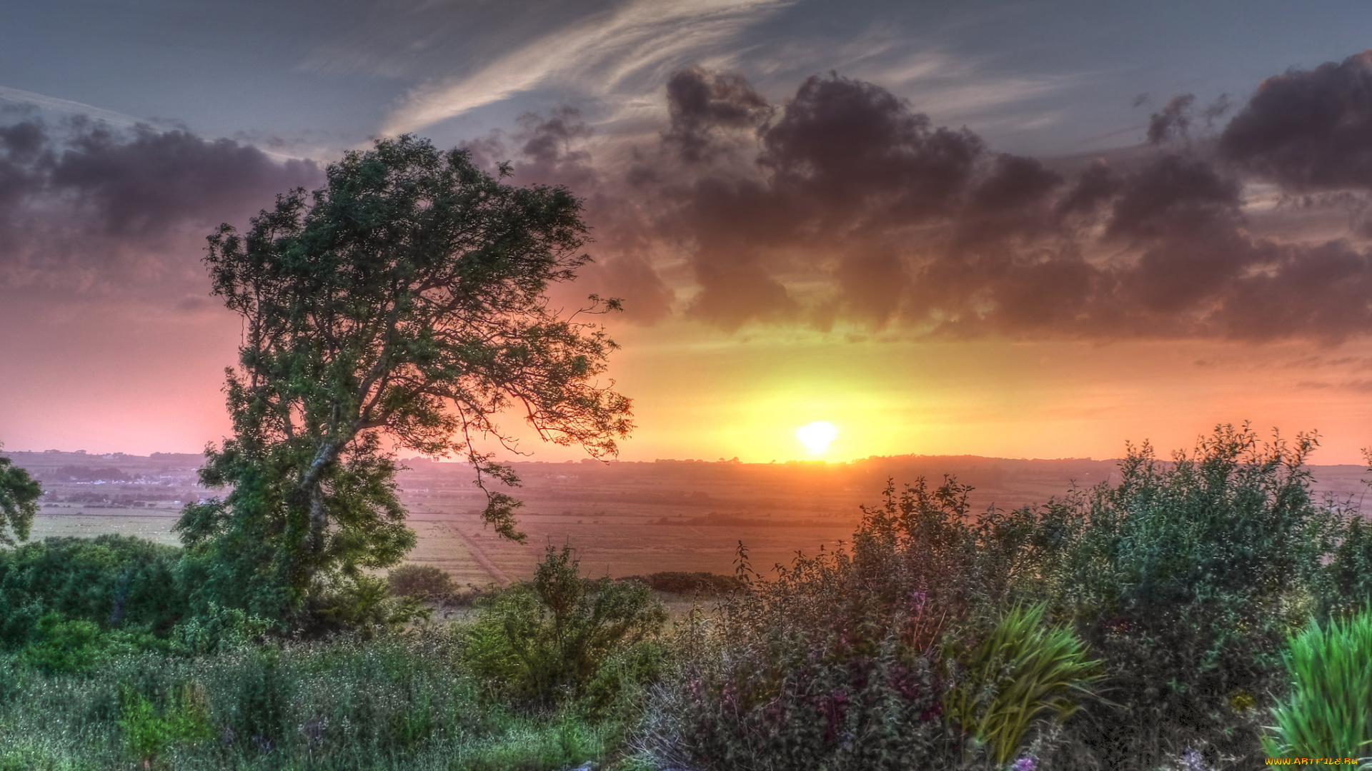 природа, восходы, закаты, горизонт, заря