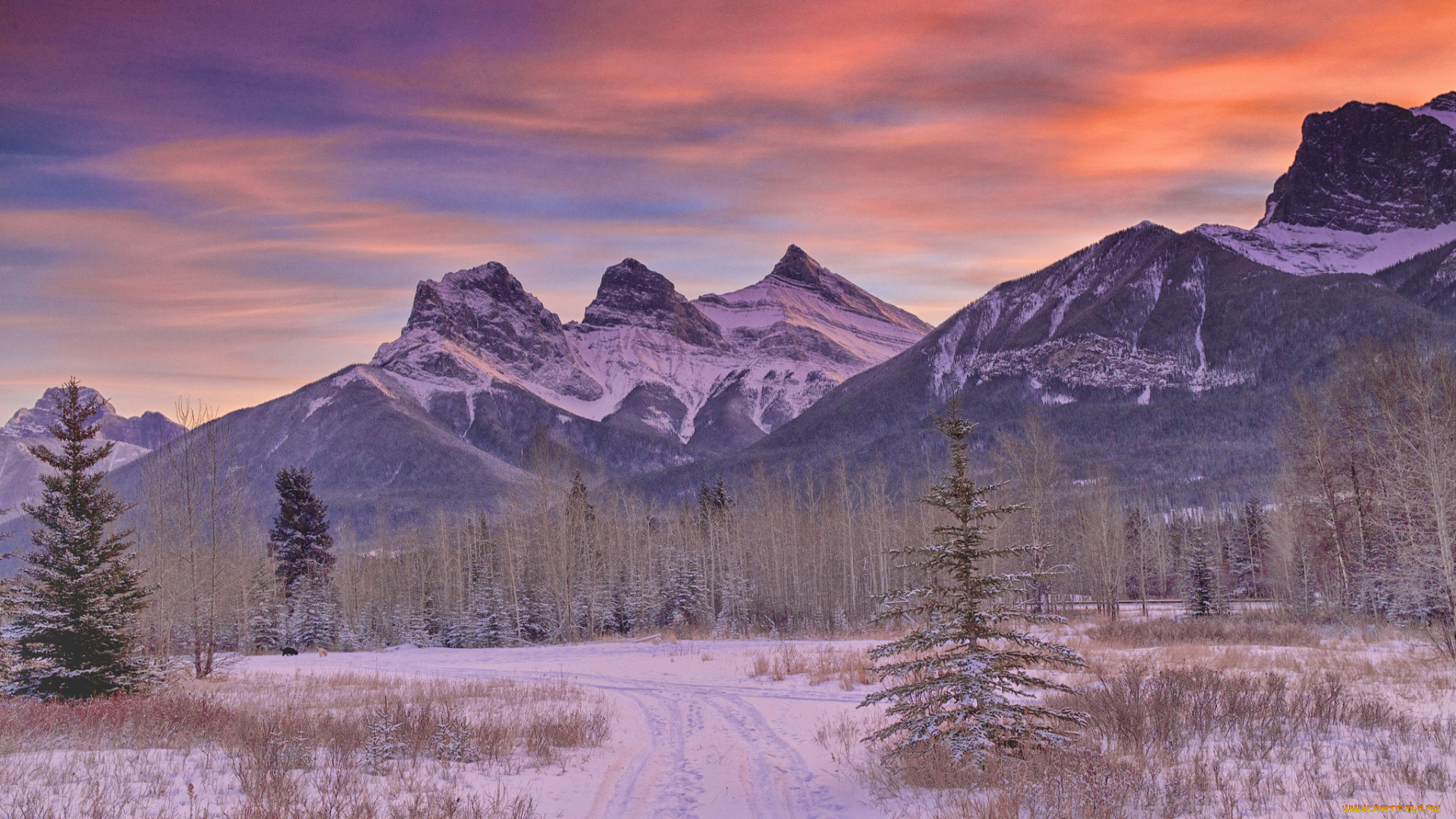 природа, зима, лес, горы, дорога, снег