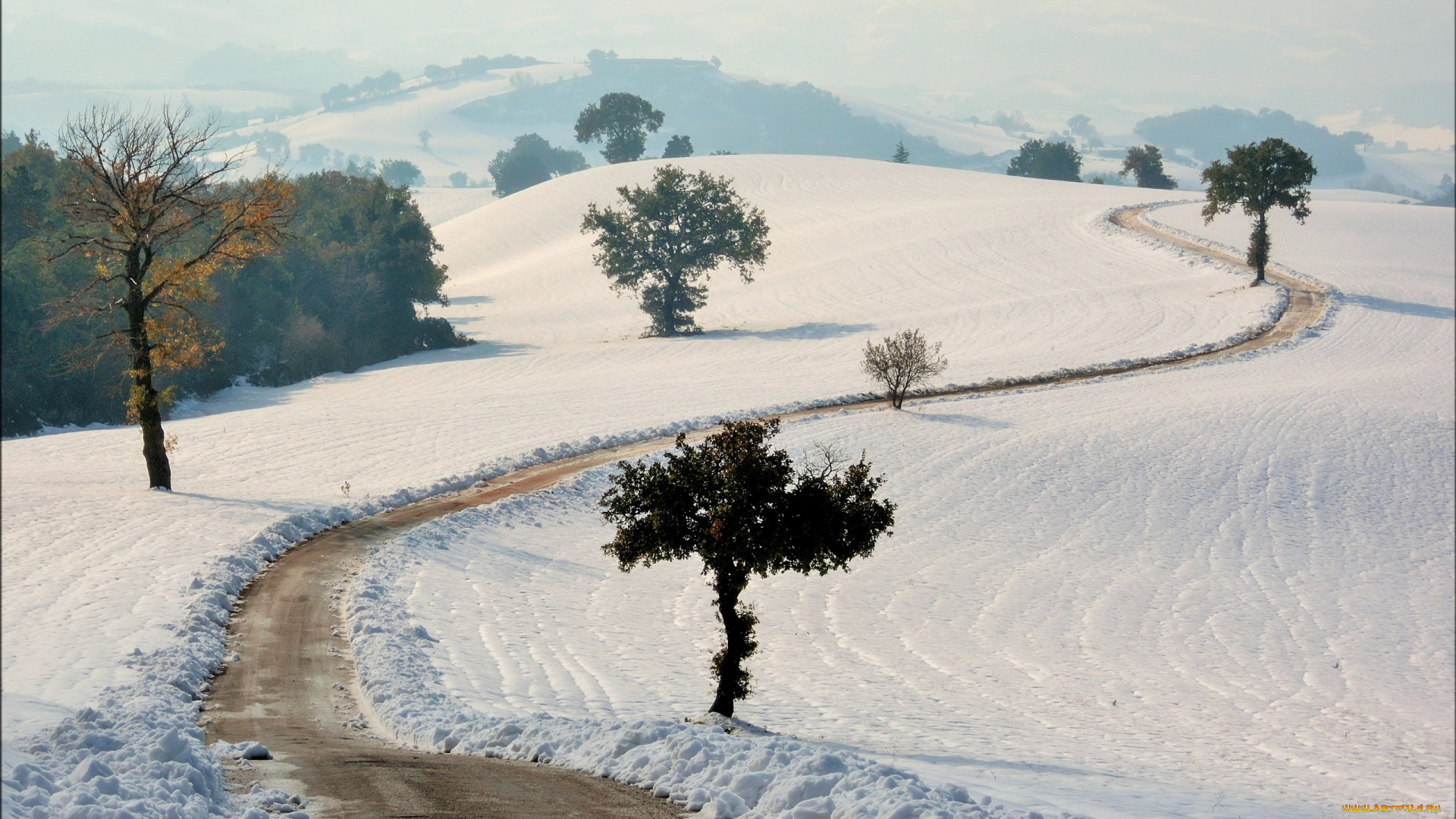 природа, зима, снег, дорога, поле