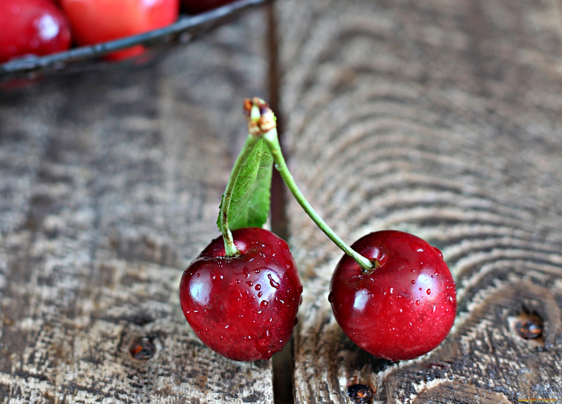 еда, вишня, , черешня