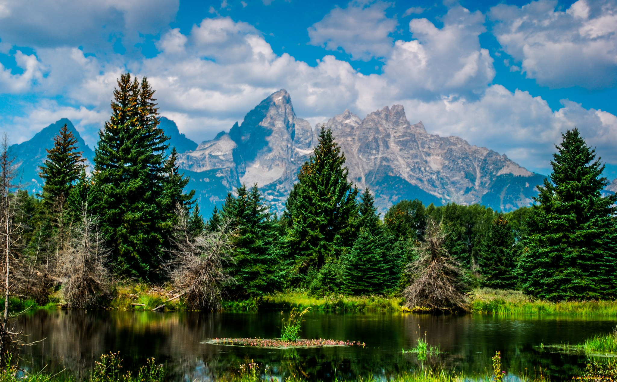 природа, реки, озера, лес, горы, река