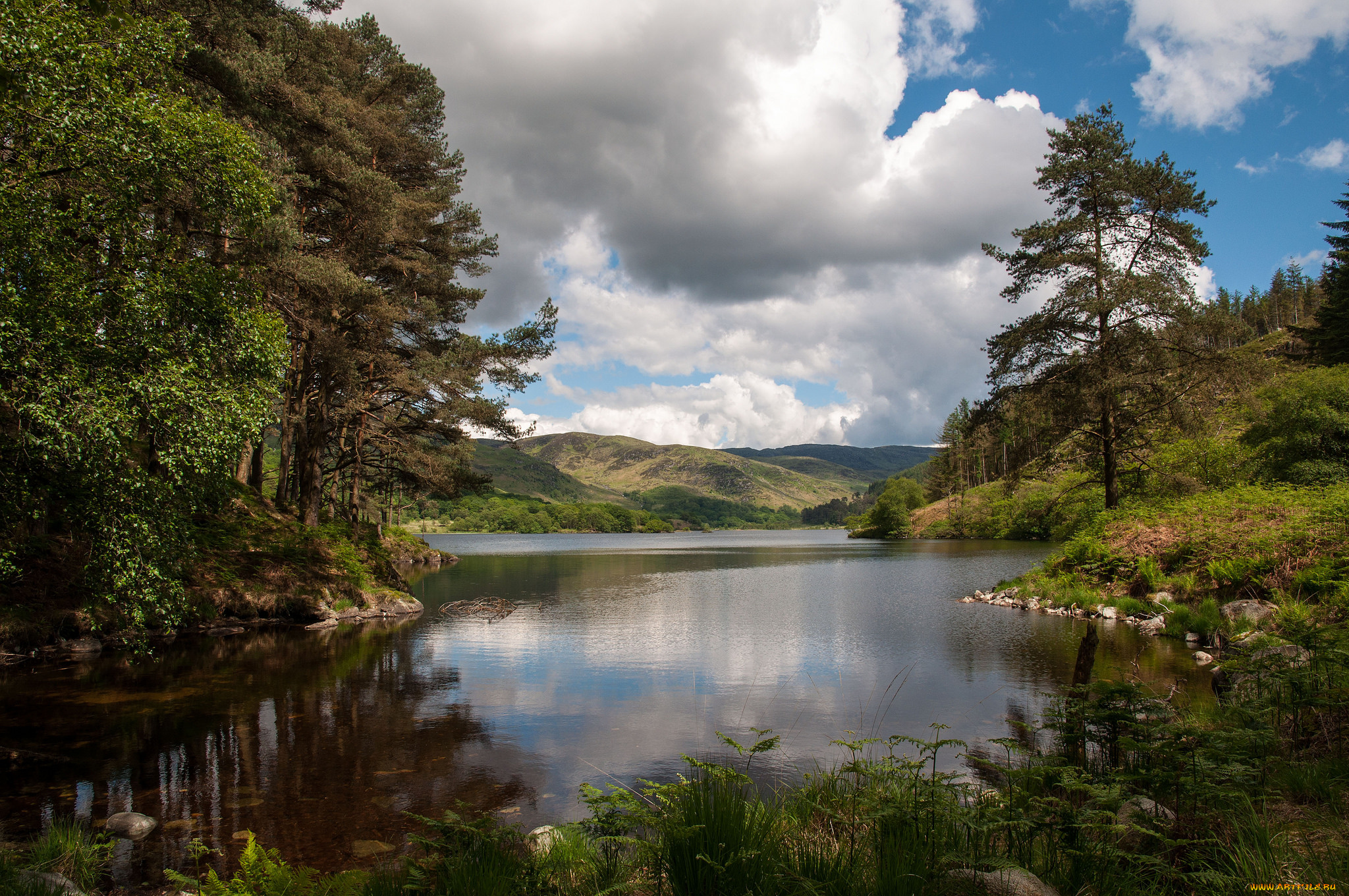 природа, реки, озера, холмы, лес, река