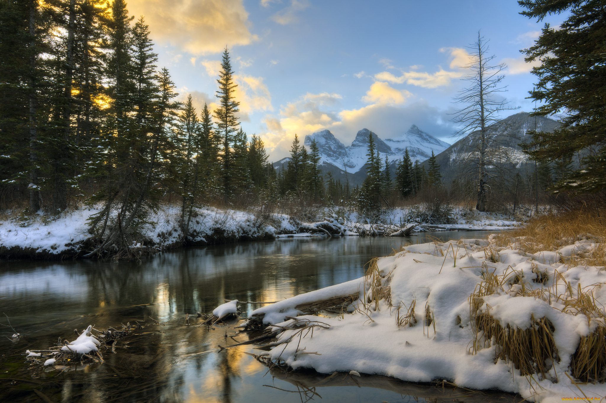 природа, реки, озера, горы, река, лес, осока, снег