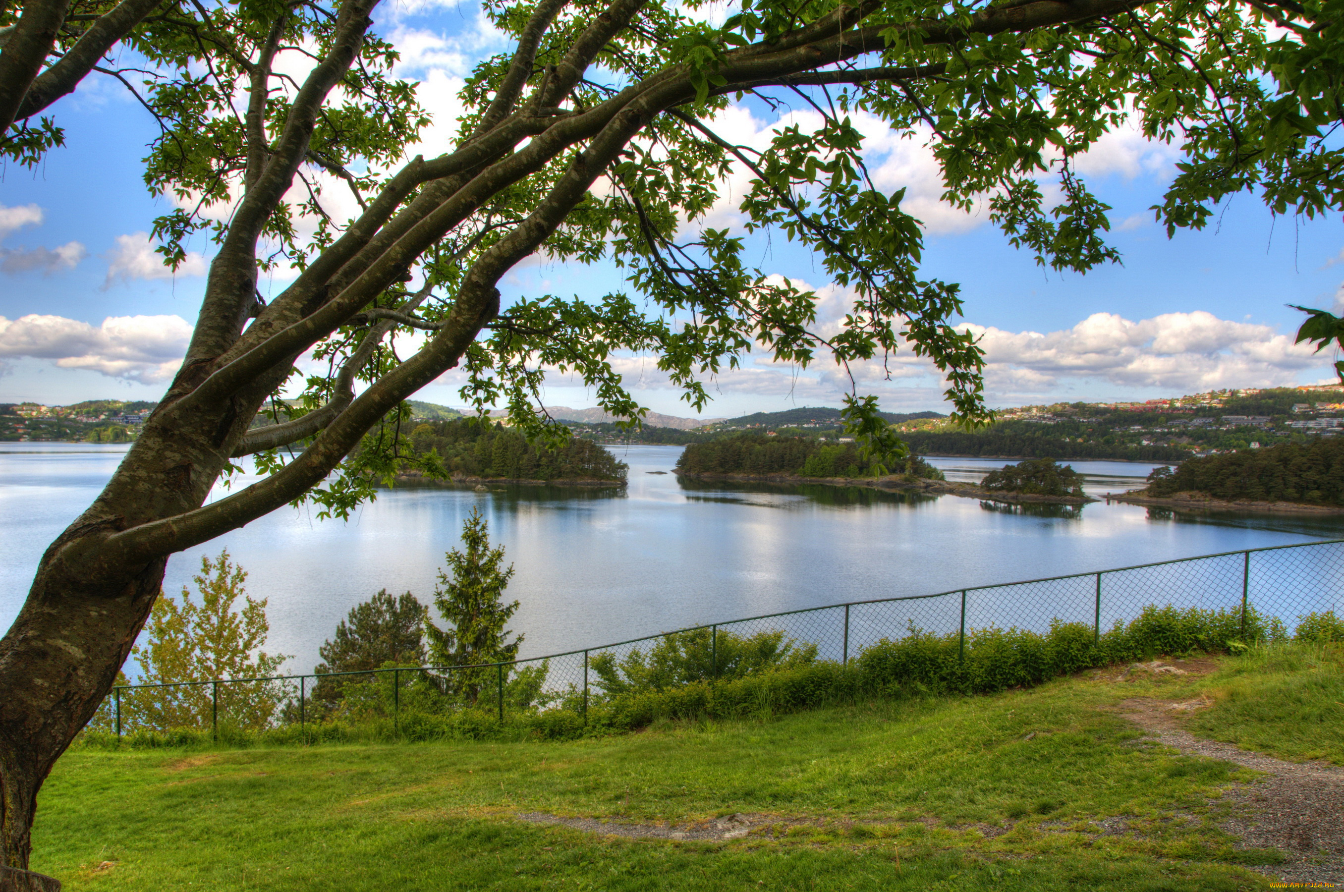 норвегия, берген, природа, реки, озера, bergen, река, берген, норвегия, деревья, лето