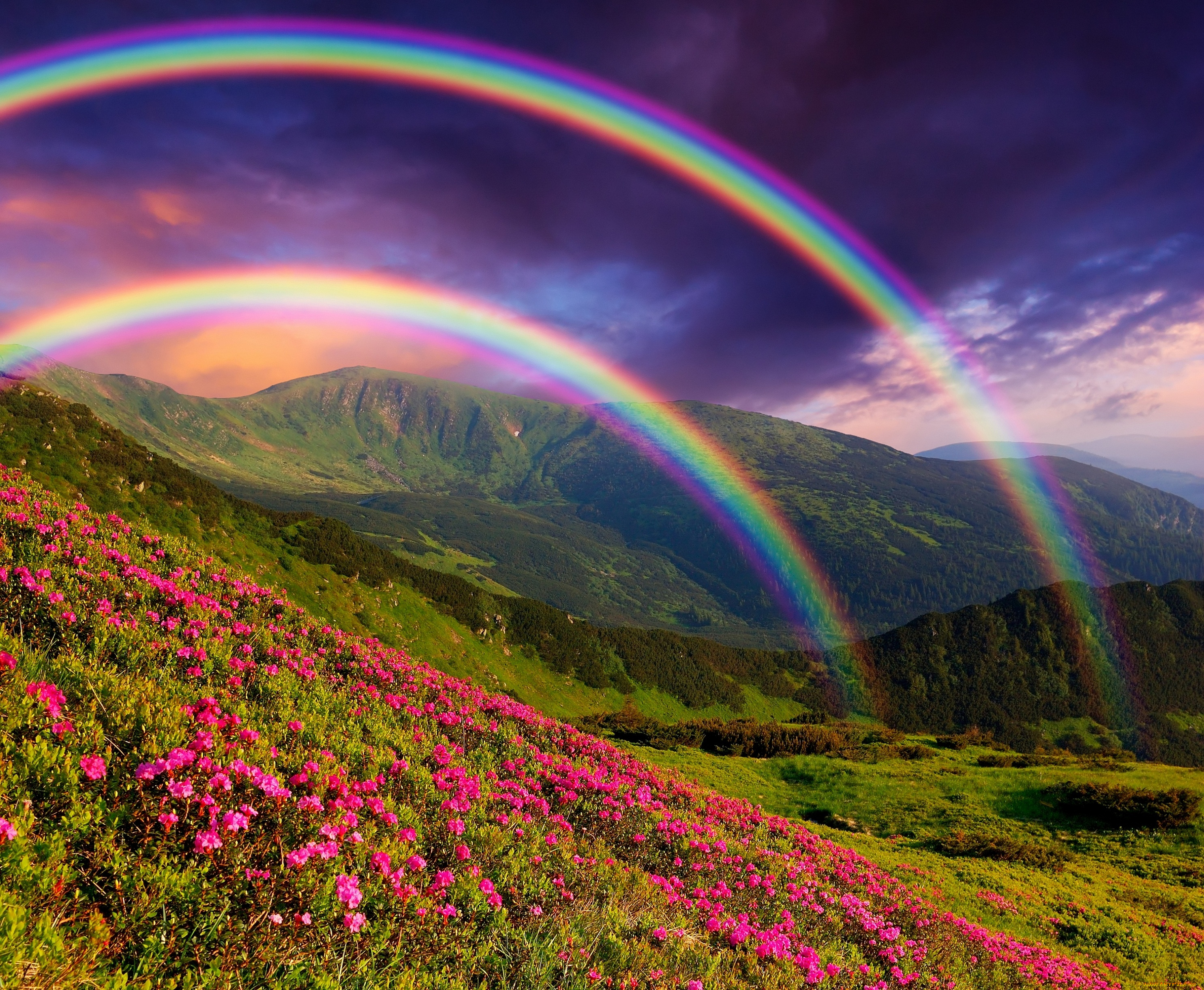 природа, пейзажи, пейзаж, горы, цветы, радуга, nature, landscape, mountains, flowers, rainbows