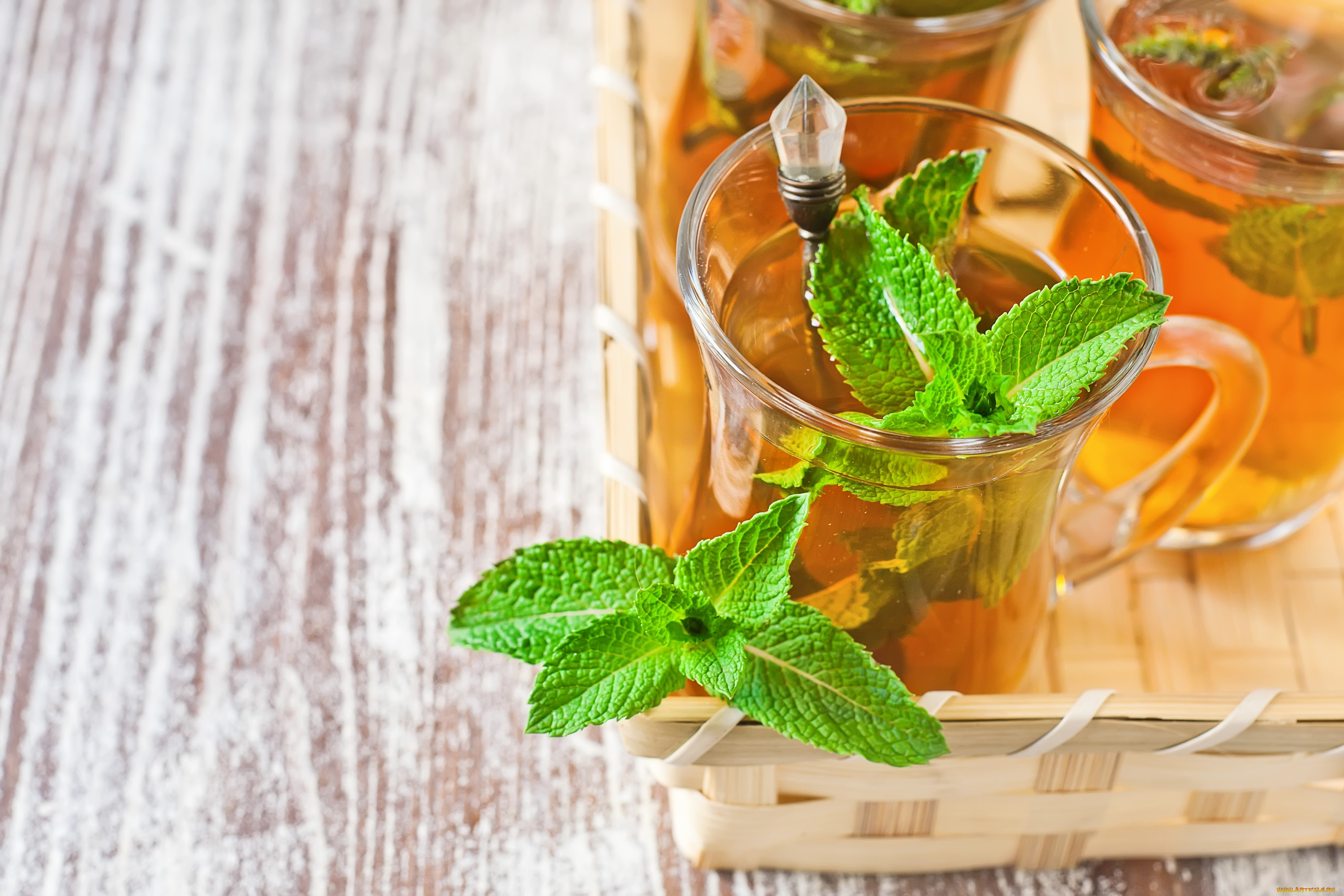 еда, напитки, , Чай, мята